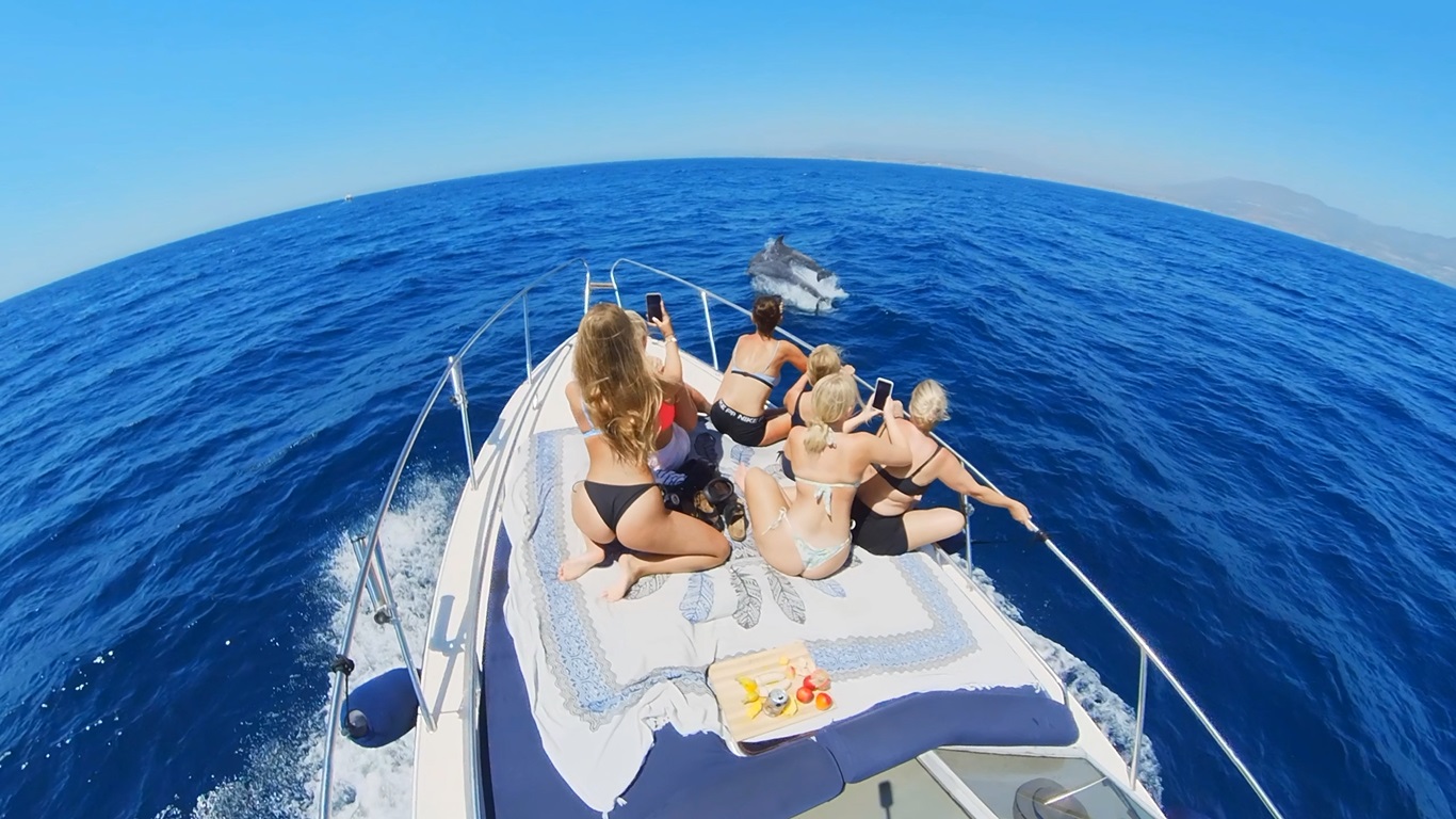 Private Sunseeker Yacht Dolphin Watching Experience