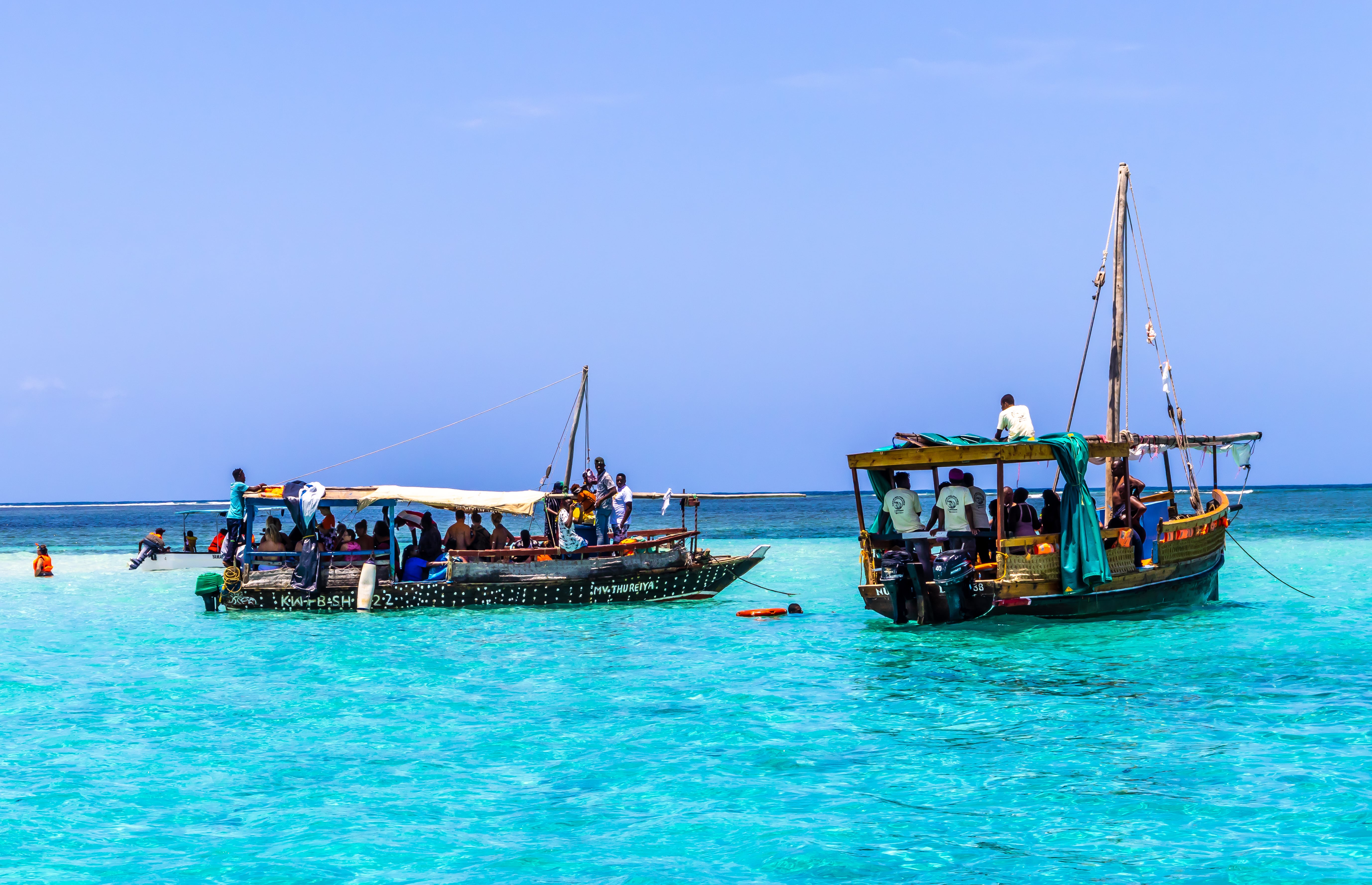 Wasini Island Dolphin Encounter & Marine Park Snorkeling