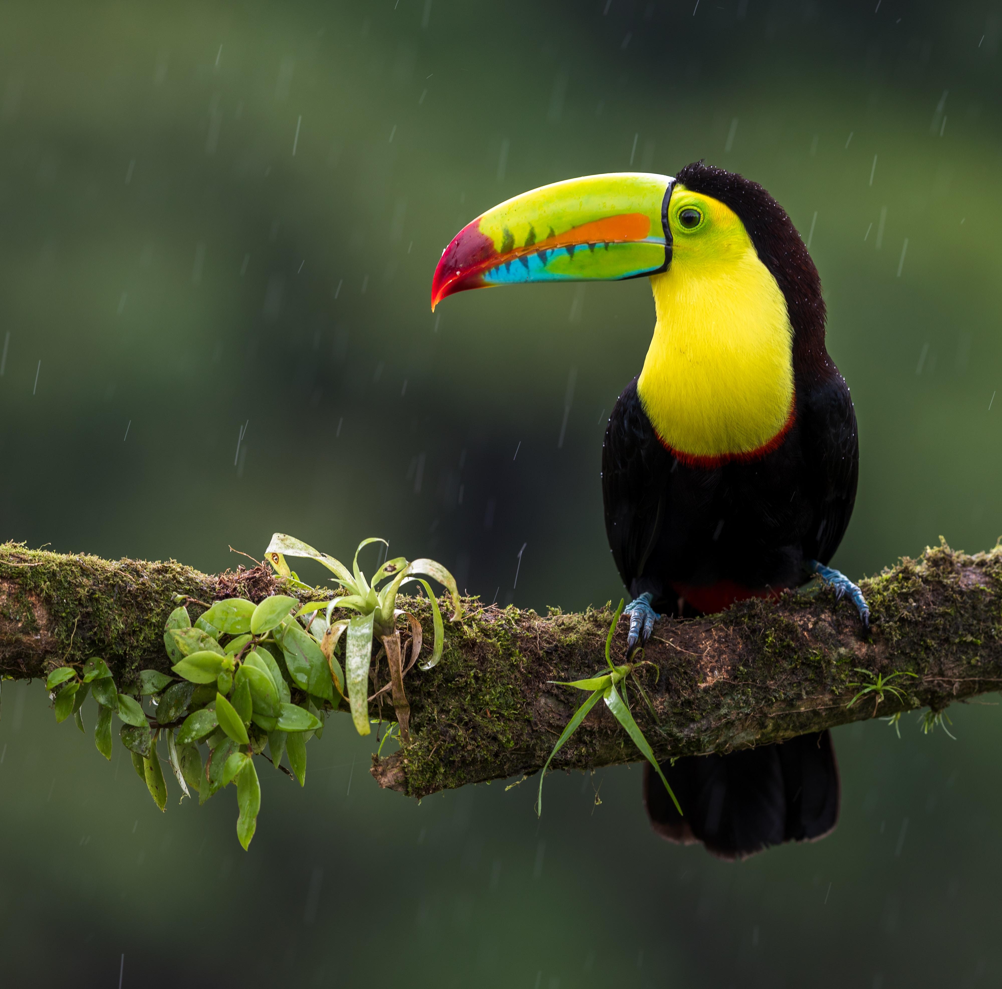 3-Day Private Chitwan National Park Safari from Kathmandu or Pokhara