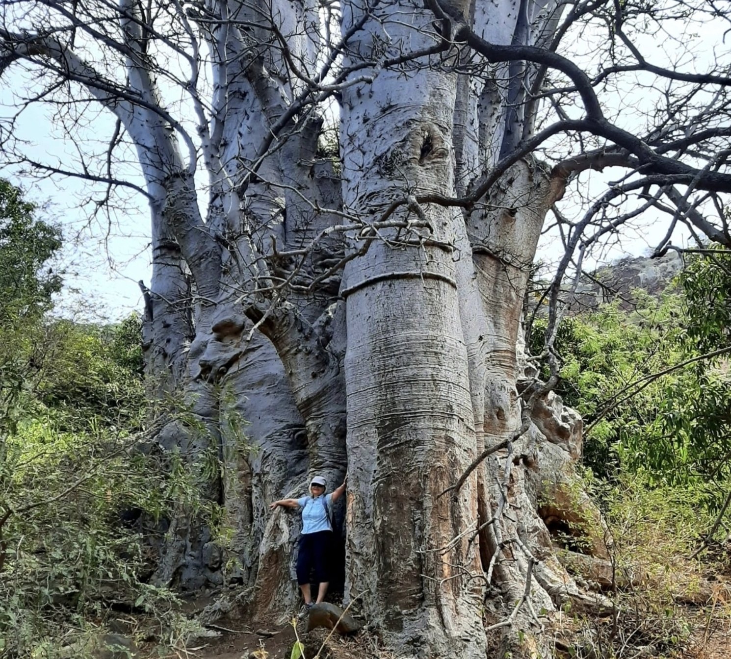 Santiago Island Hike: Ancient Baobab, Green Valley & Historic Cidade Velha