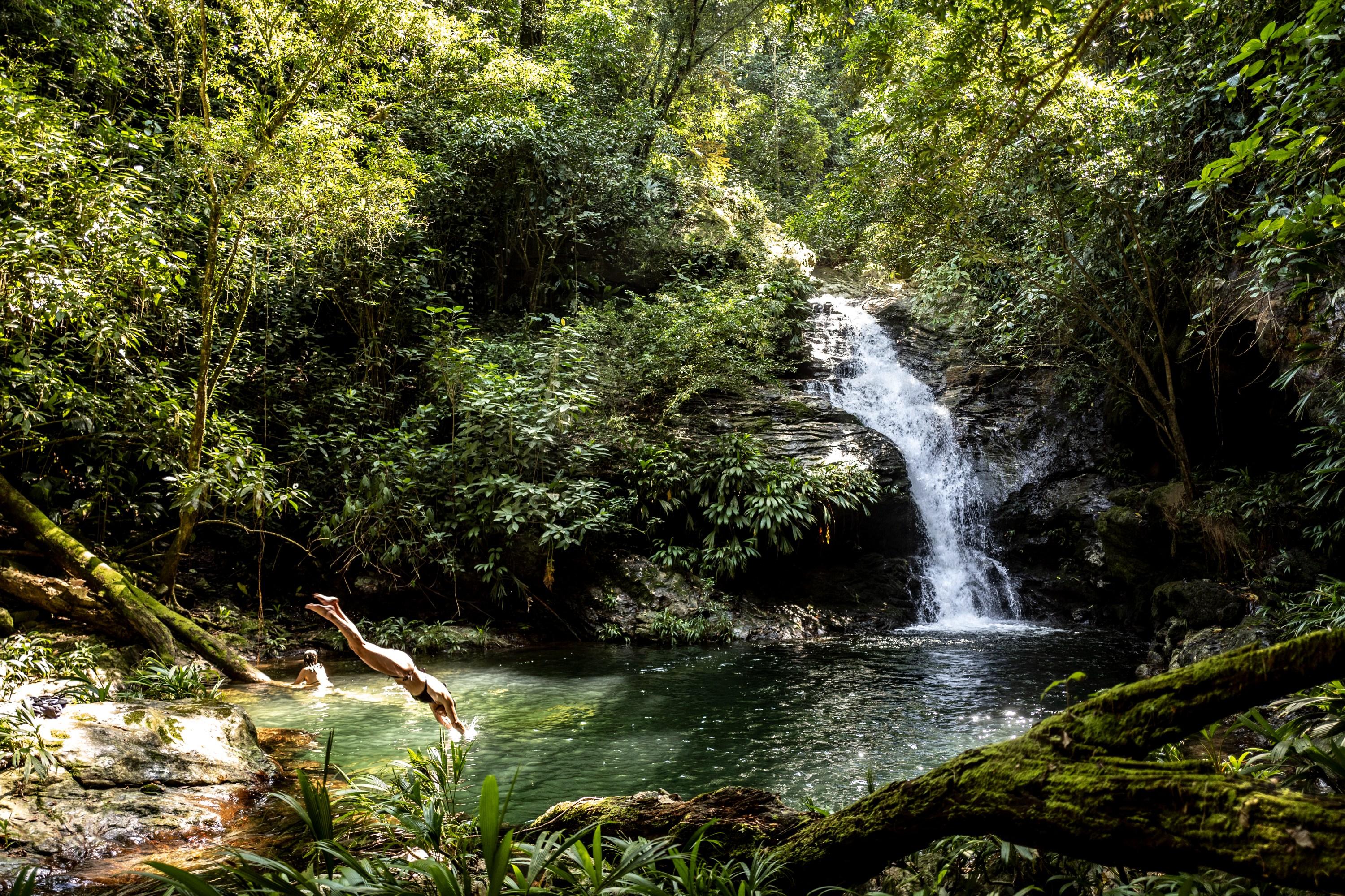 Sierra Nevada Waterfall Trek with Jungle Guide