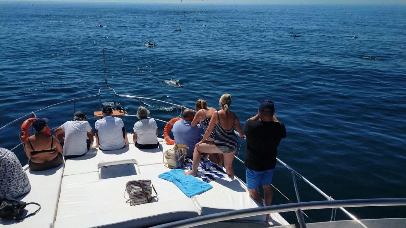 Agadir Coastal Boat Cruise with Fishing and BBQ Lunch