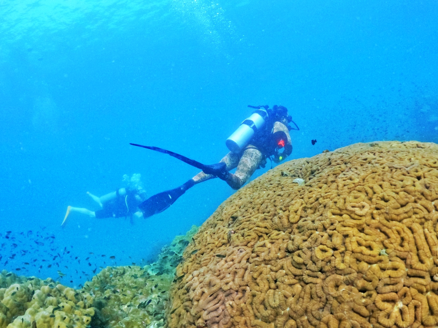 Phu Quoc Scuba Diving for Beginners & Certified Divers