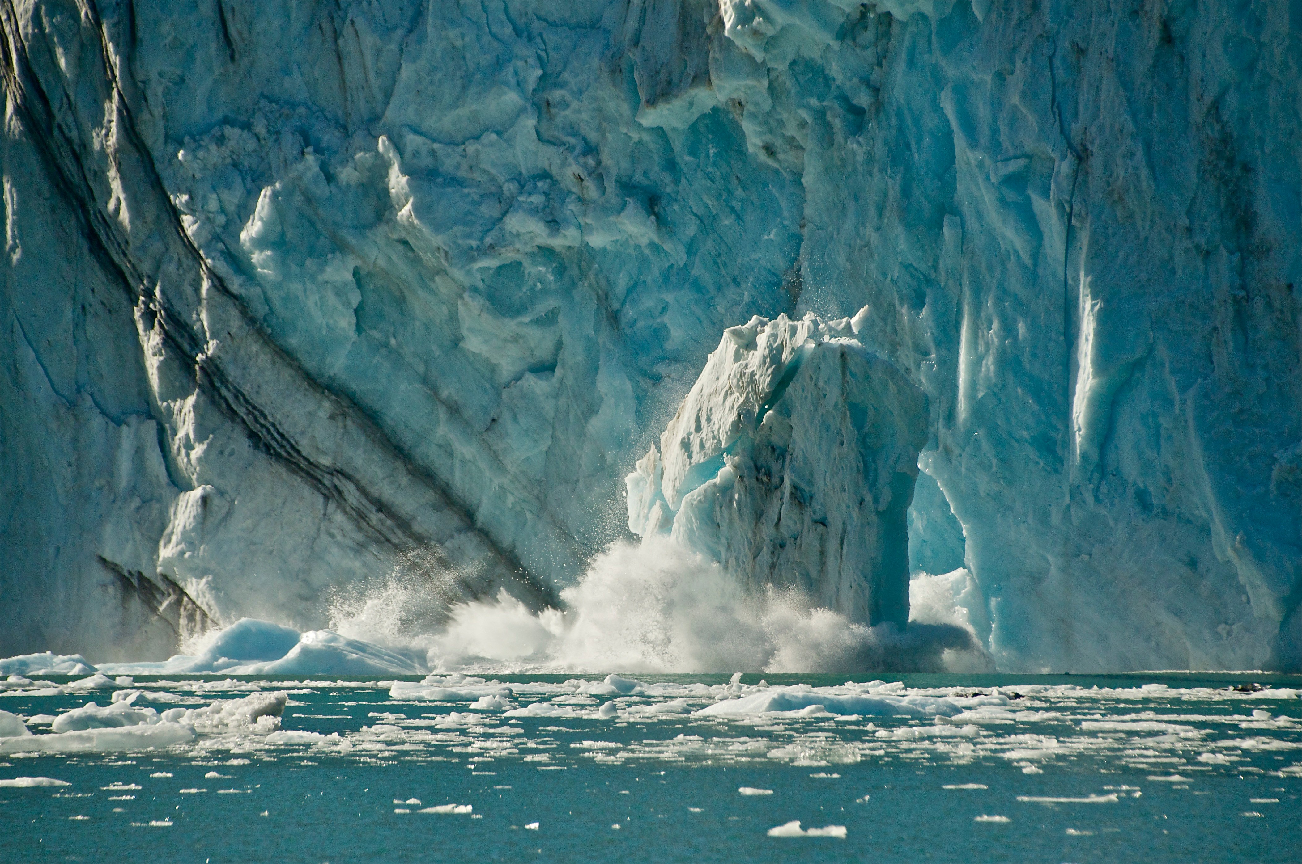 glacier cruise in Whittier — photo 5