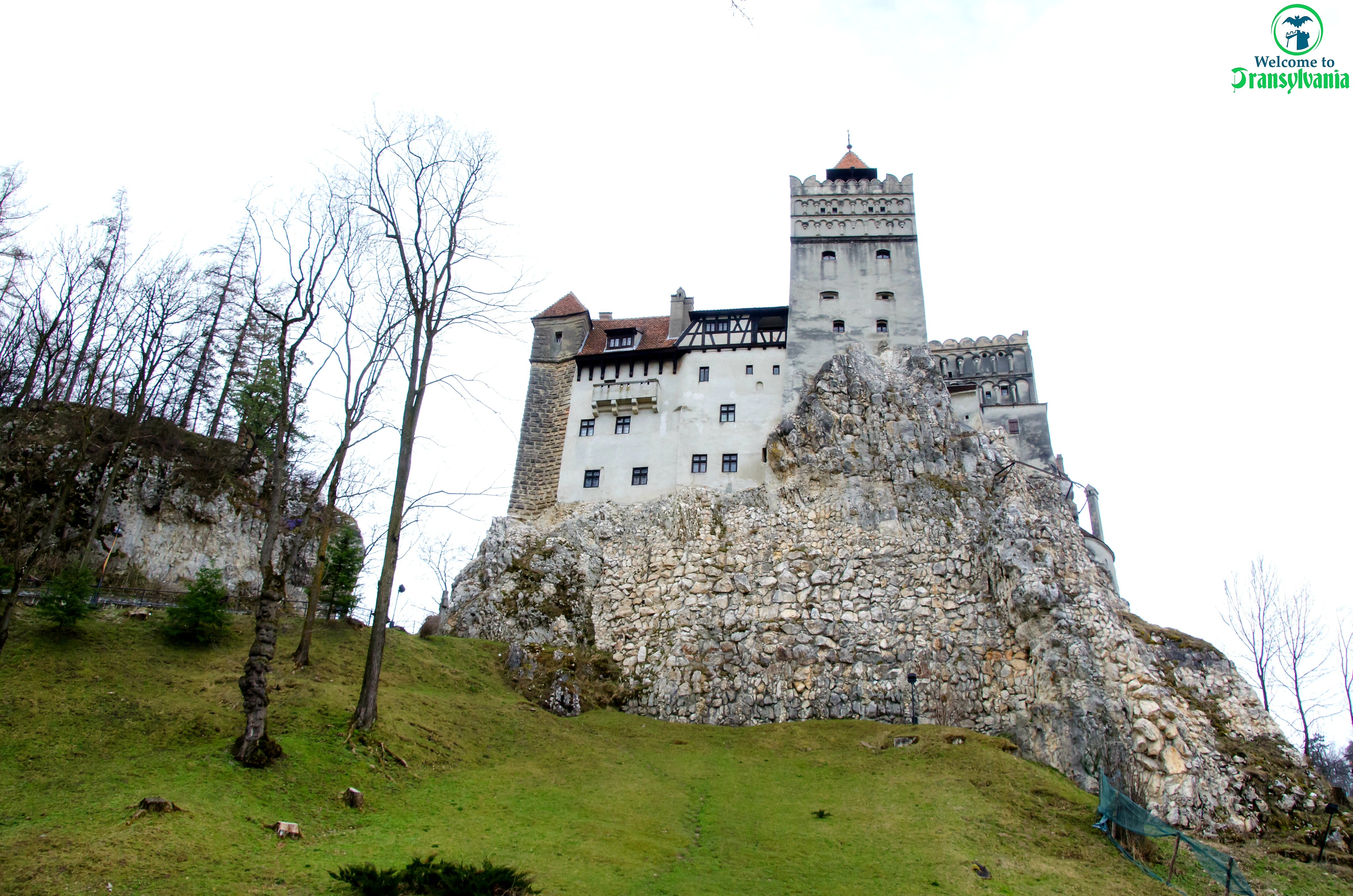 Bear Sanctuary & Bran Castle Day Trip from Brașov