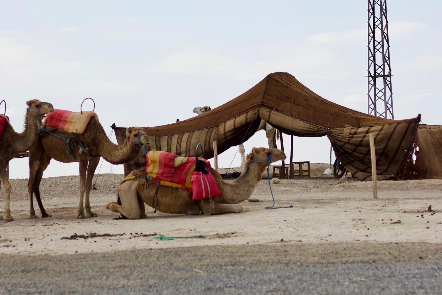 Agafay Desert Adventure: Quad Bikes, Camels & Pool Day from Marrakech