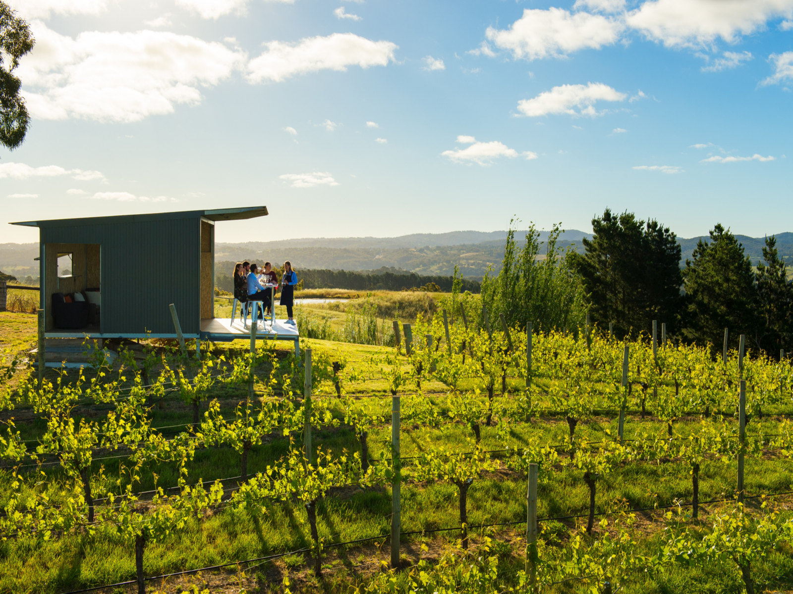 Intimate Barossa Valley Wine Experience with Winemaker Access