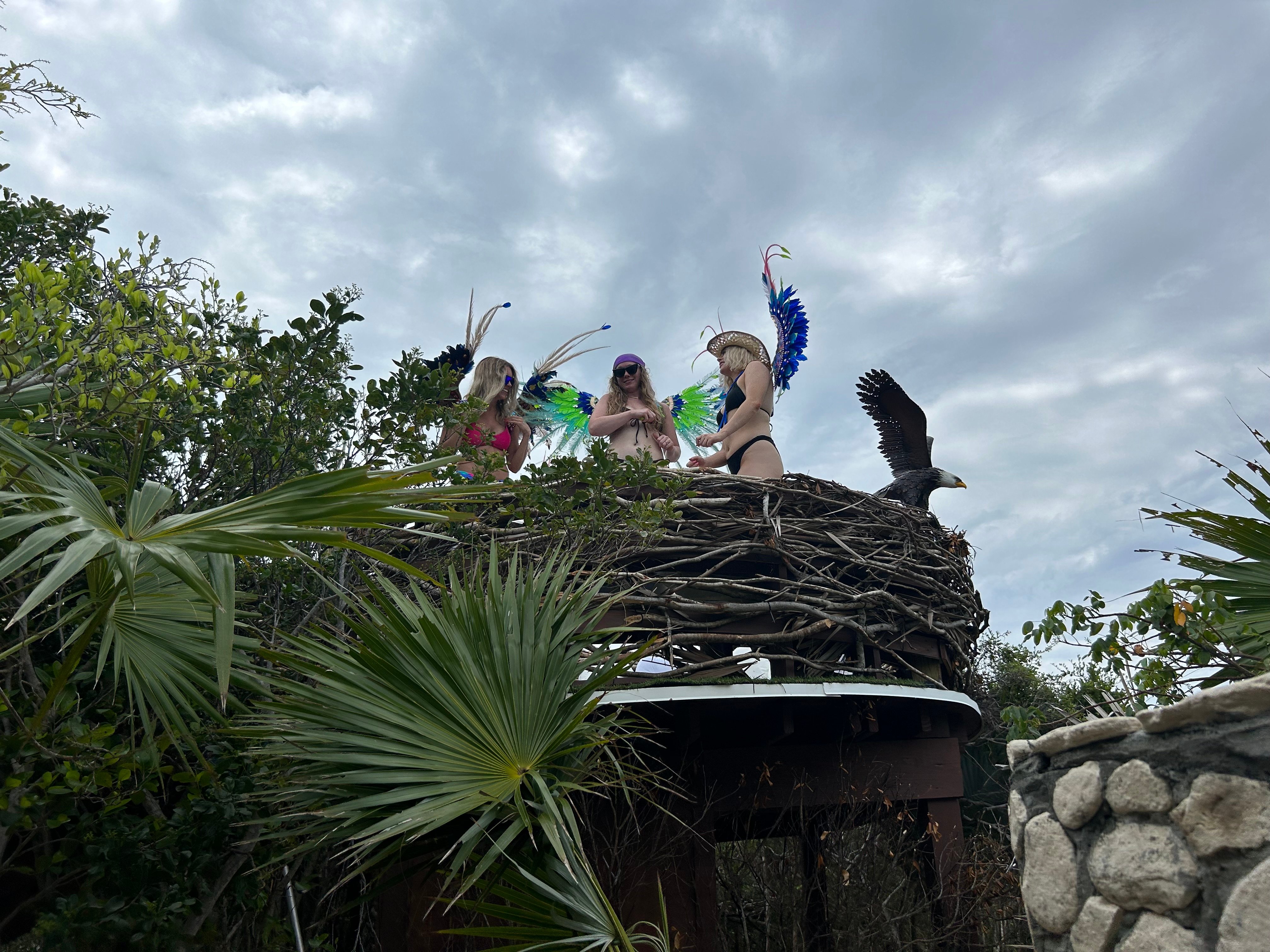 Nassau Powerboat Adventure: Snorkeling, Green Cay Turtles & Private Beach Club