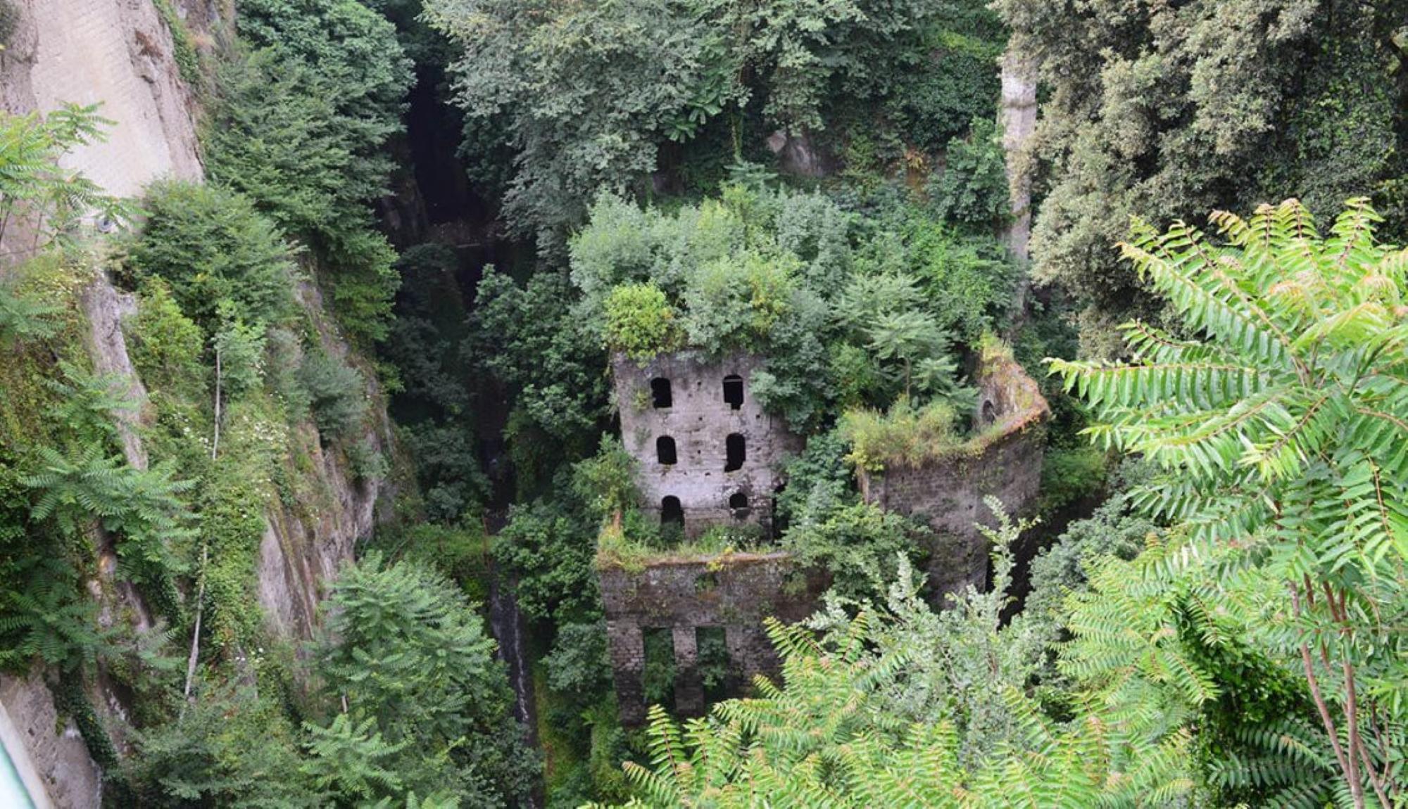 limoncello tour in Sorrento — photo 2