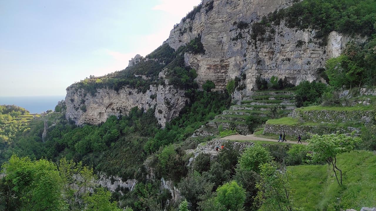 Path of the Gods Guided Hike from Sorrento with Local Tasting