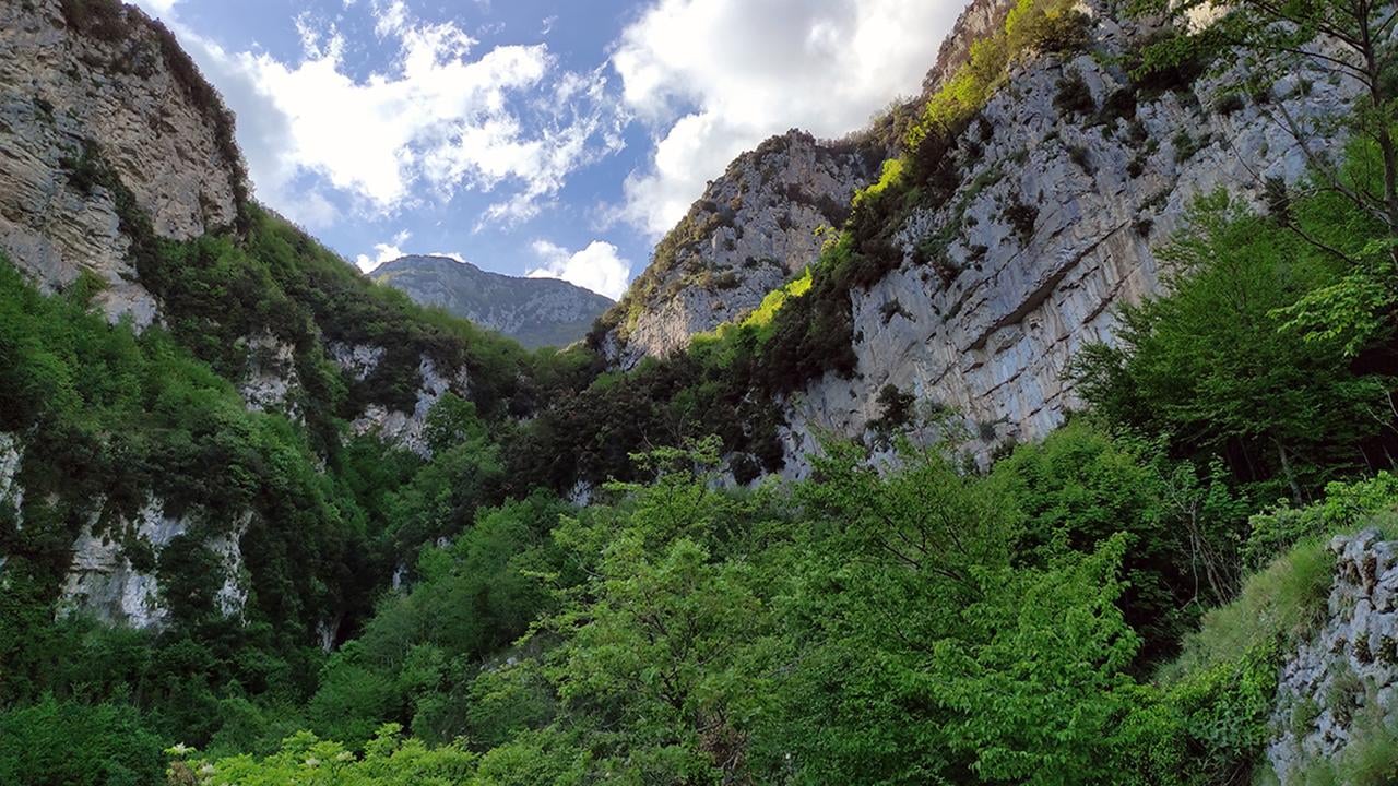 Path of the Gods Guided Hike from Sorrento with Local Tasting