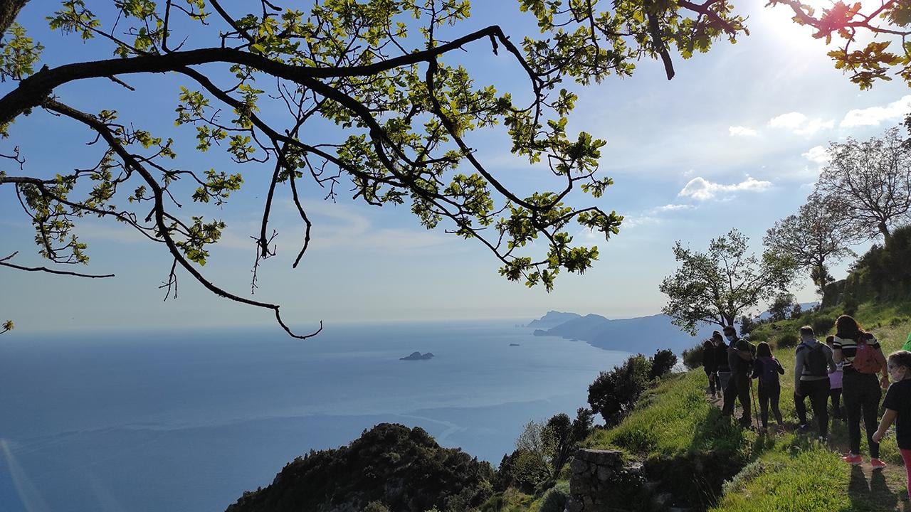 Path of the Gods Guided Hike from Sorrento with Local Tasting