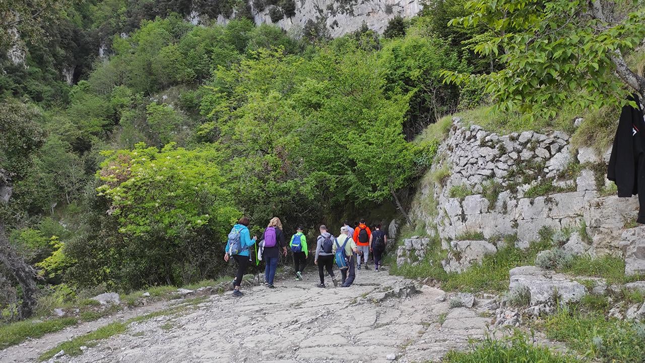 Path of the Gods Guided Hike from Sorrento with Local Tasting