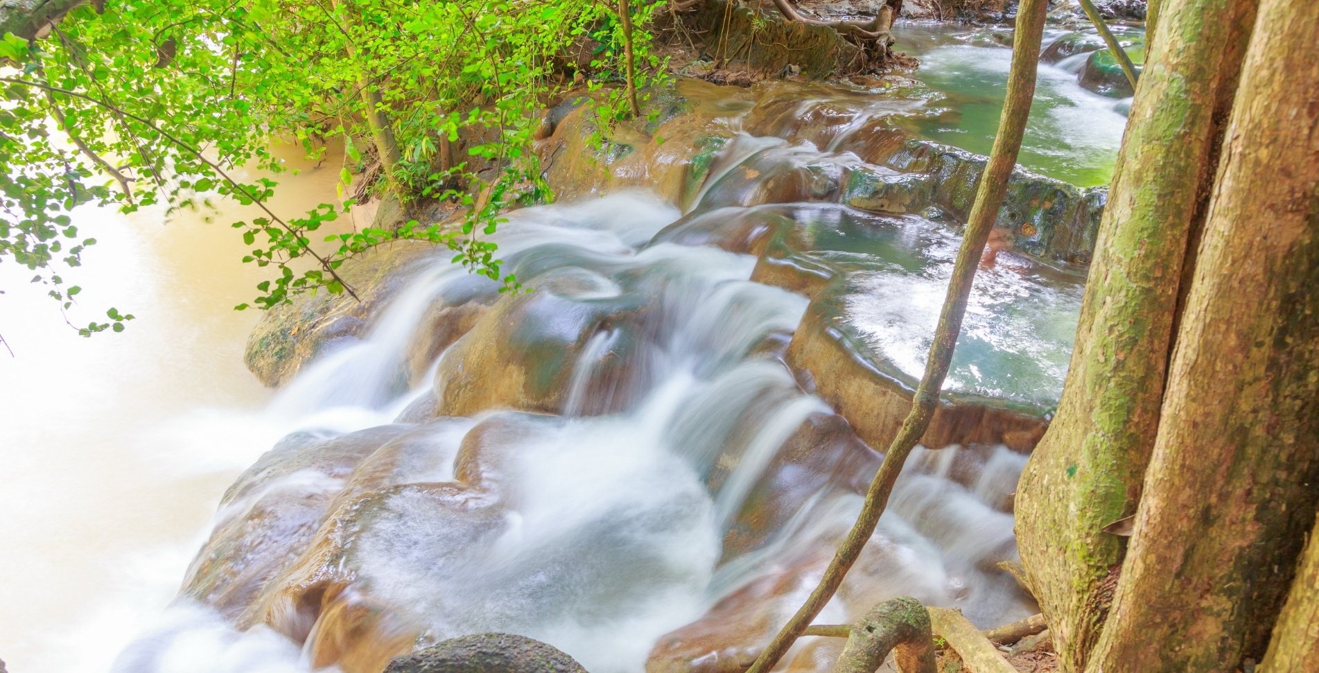 Krabi Rainforest Discovery: Hot Springs, Emerald Pool & Tiger Cave Temple