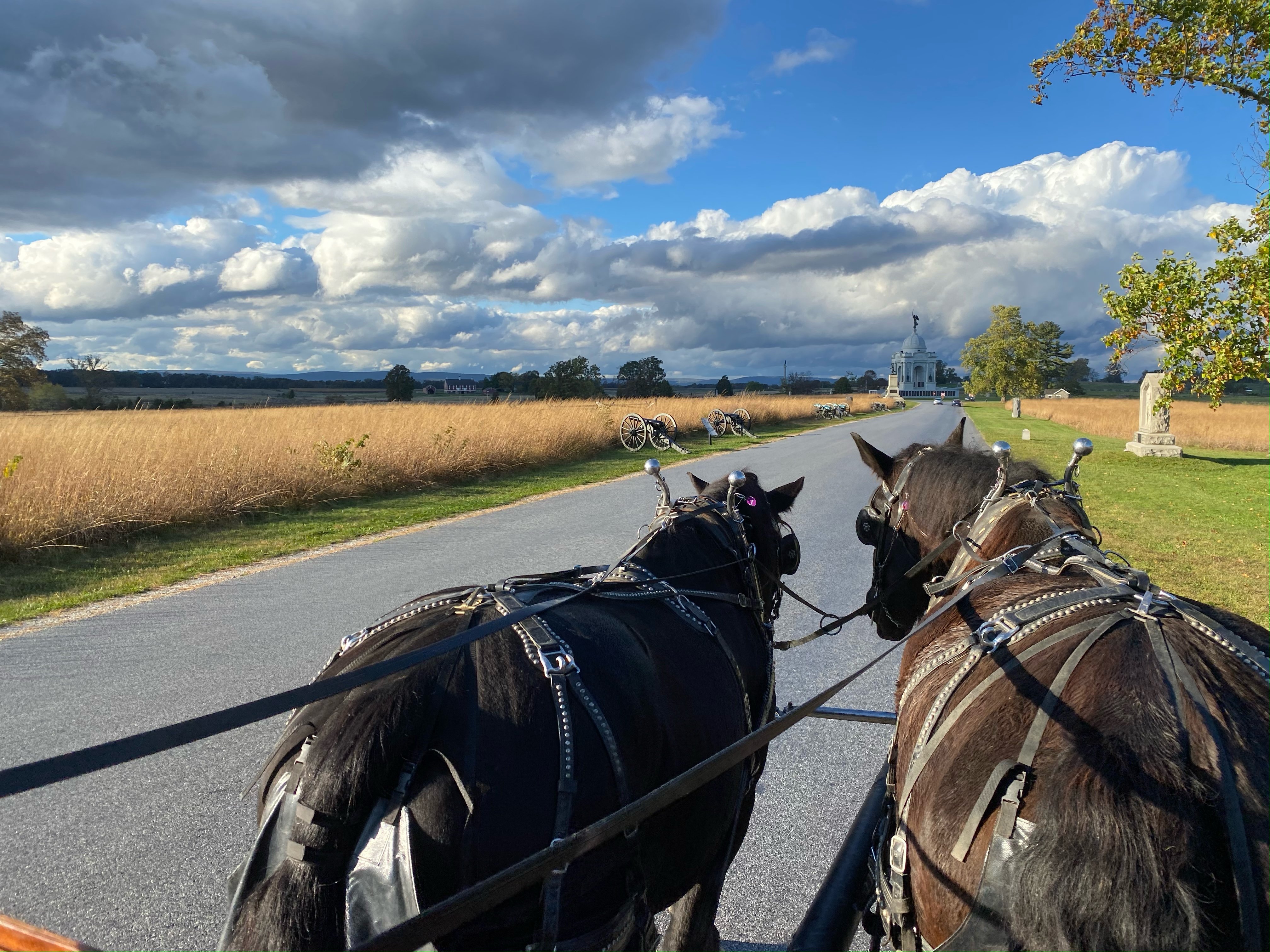 Culp's Hill Horse Carriage Battle Tour