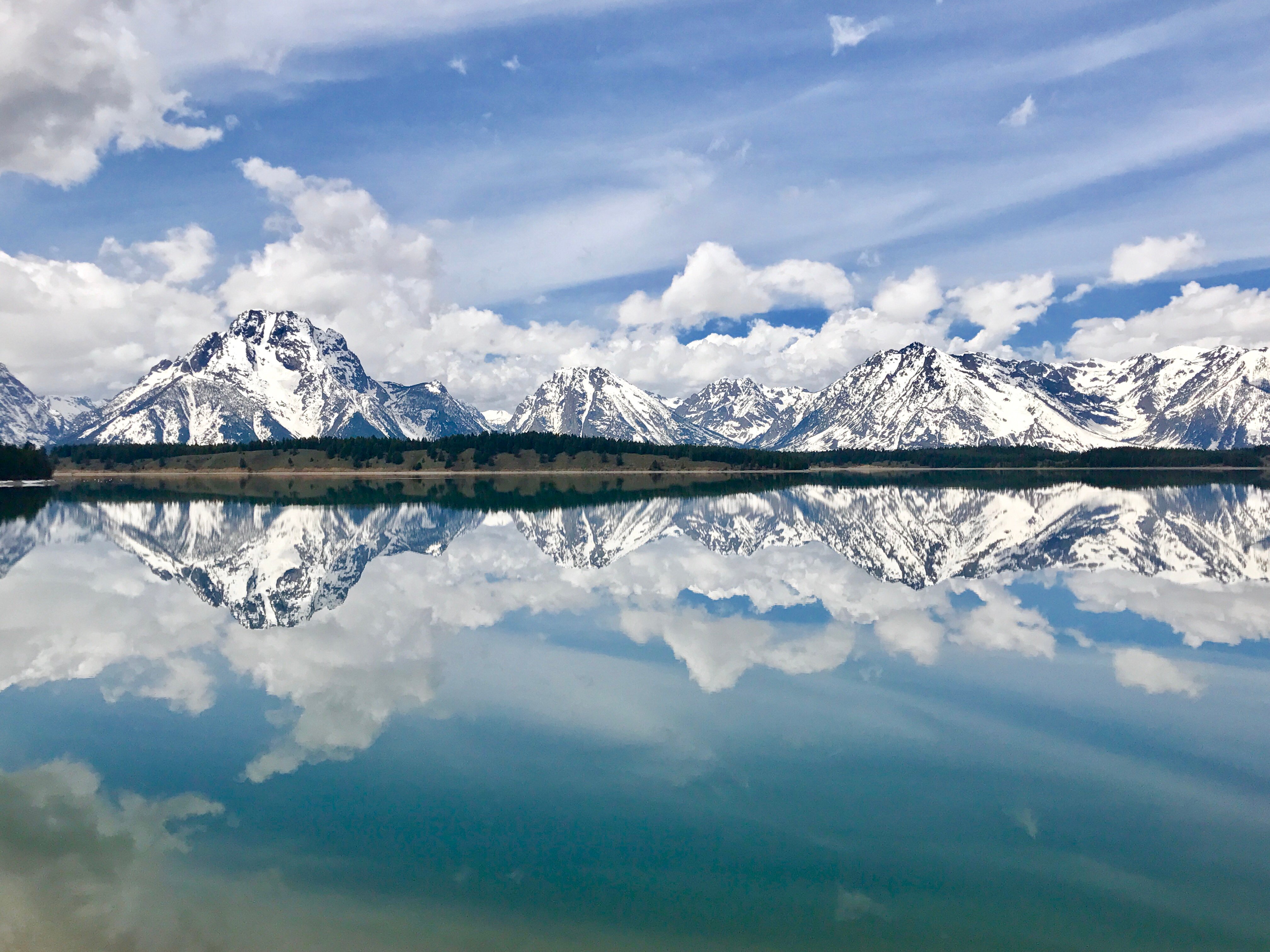 Grand Teton Sunrise Wildlife Expedition from Jackson