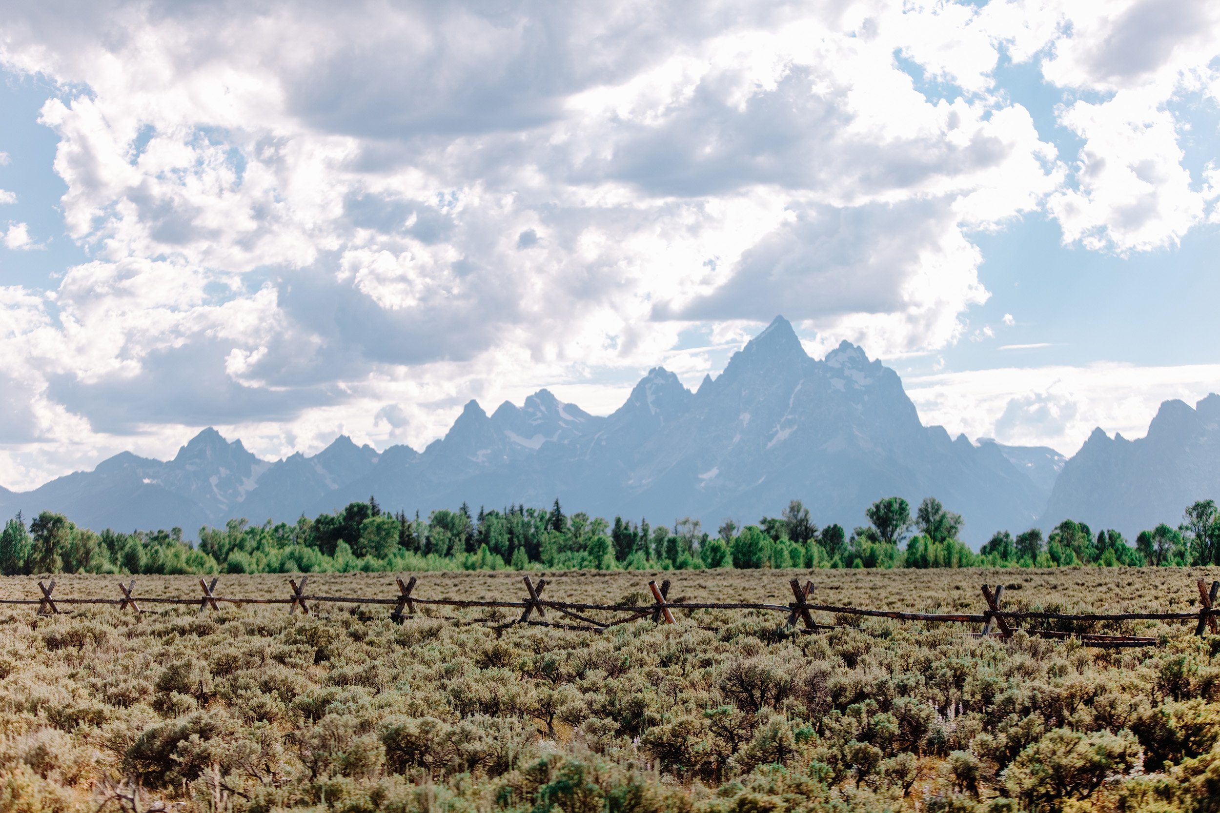 Grand Teton Sunrise Wildlife Expedition from Jackson
