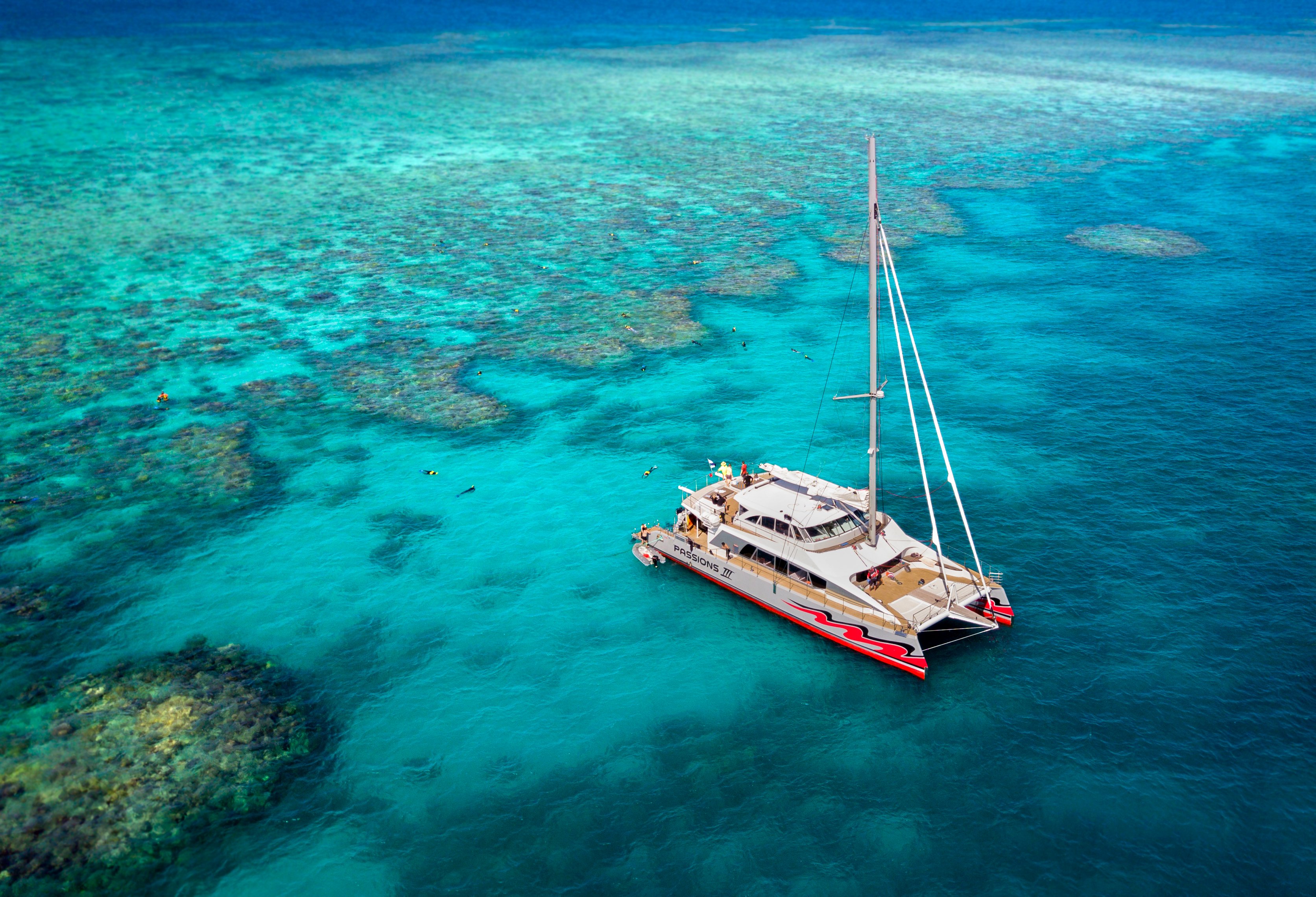Great Barrier Reef Premium Catamaran Day Cruise from Cairns