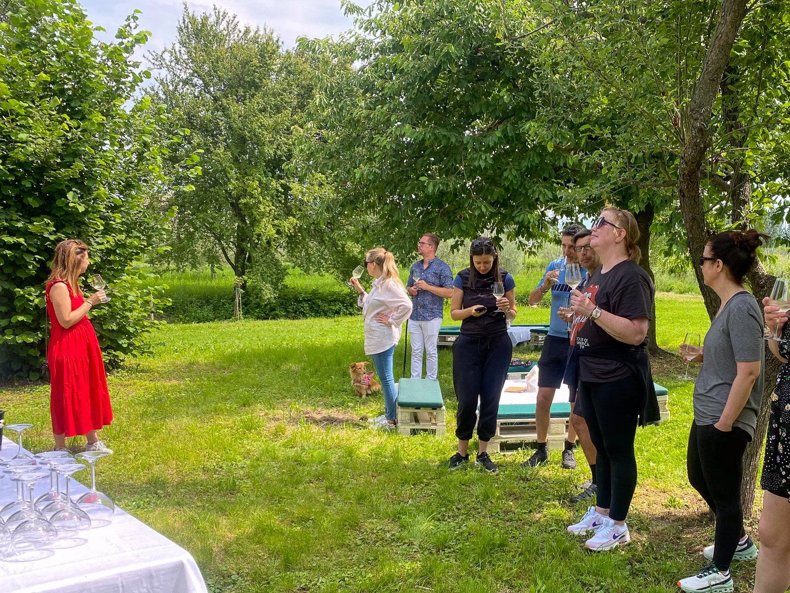 cooking class in Lake Garda — Sirmione: Vineyard Tour with Lugana Wines and Local Tastings