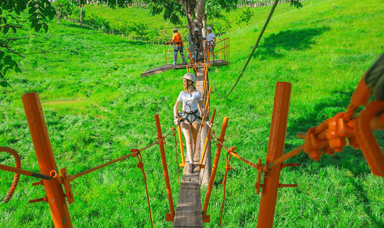 Punta Cana Half-Day Zipline Adventure