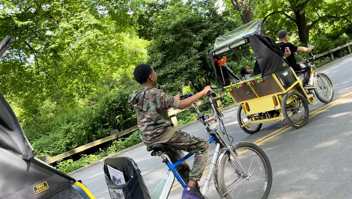Central Park Pedicab Private Sightseeing Adventure