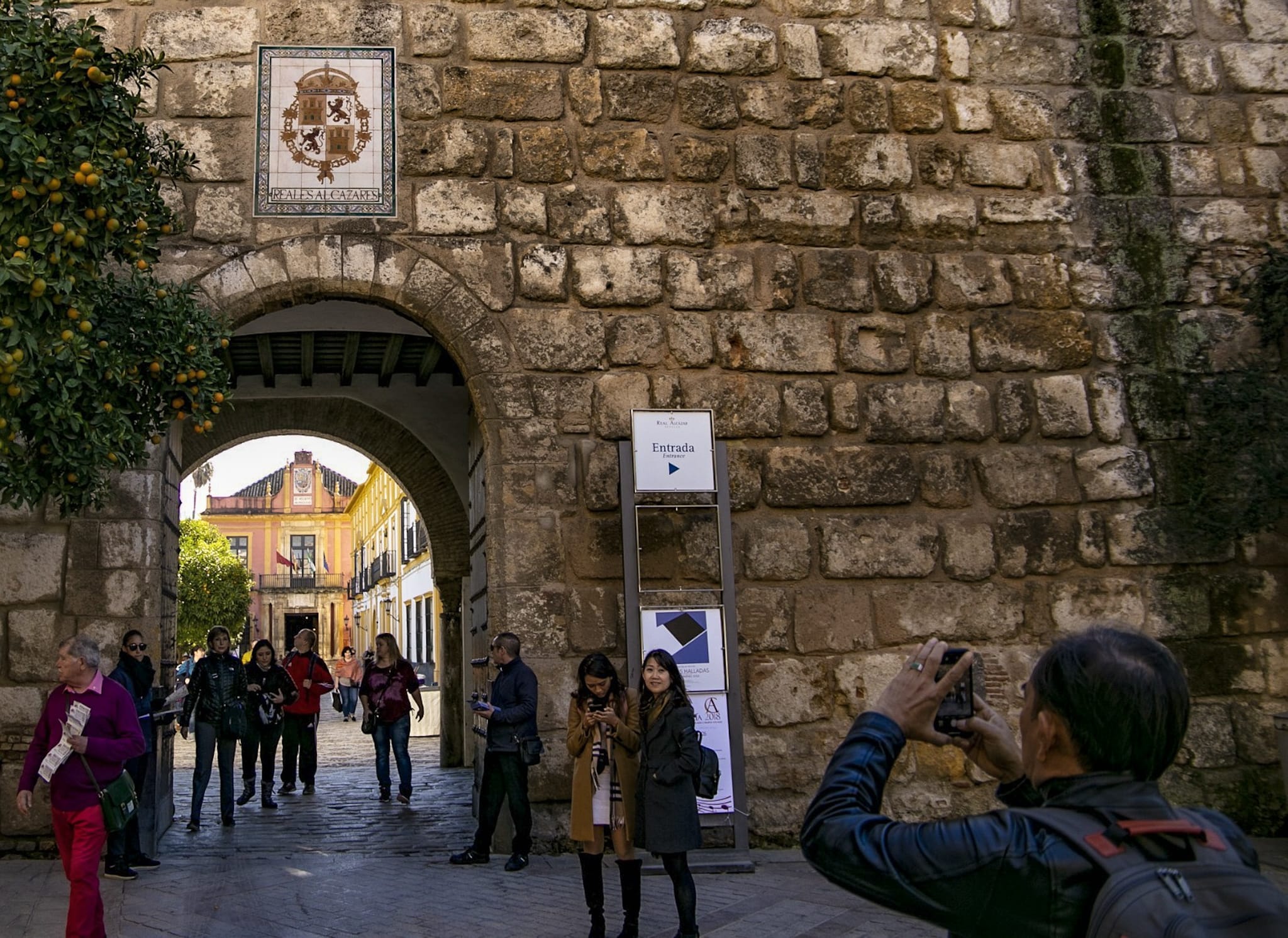 Seville: Private Cathedral & Real Alcazar Tour