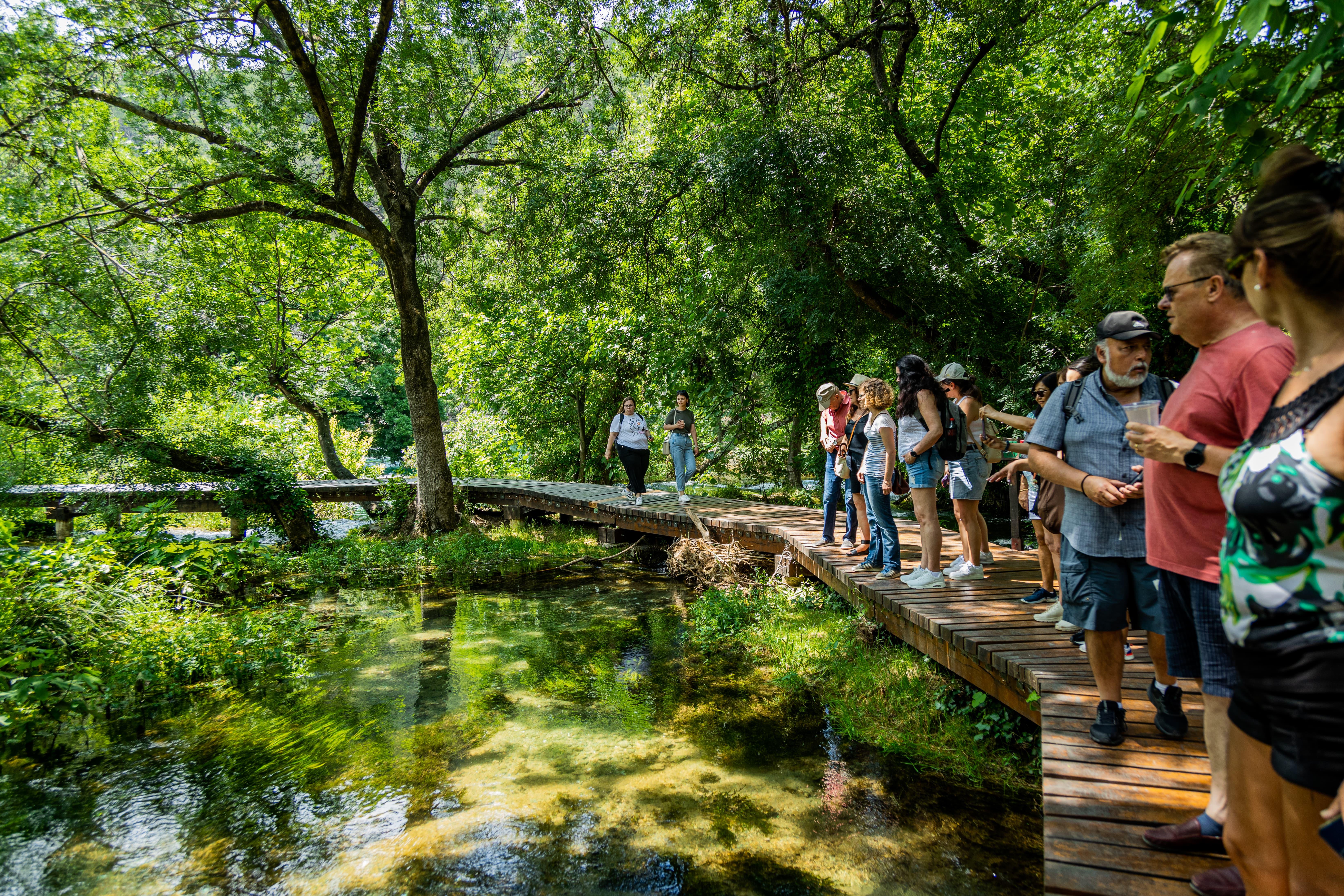 Split to Krka Waterfalls & Trogir UNESCO Tour