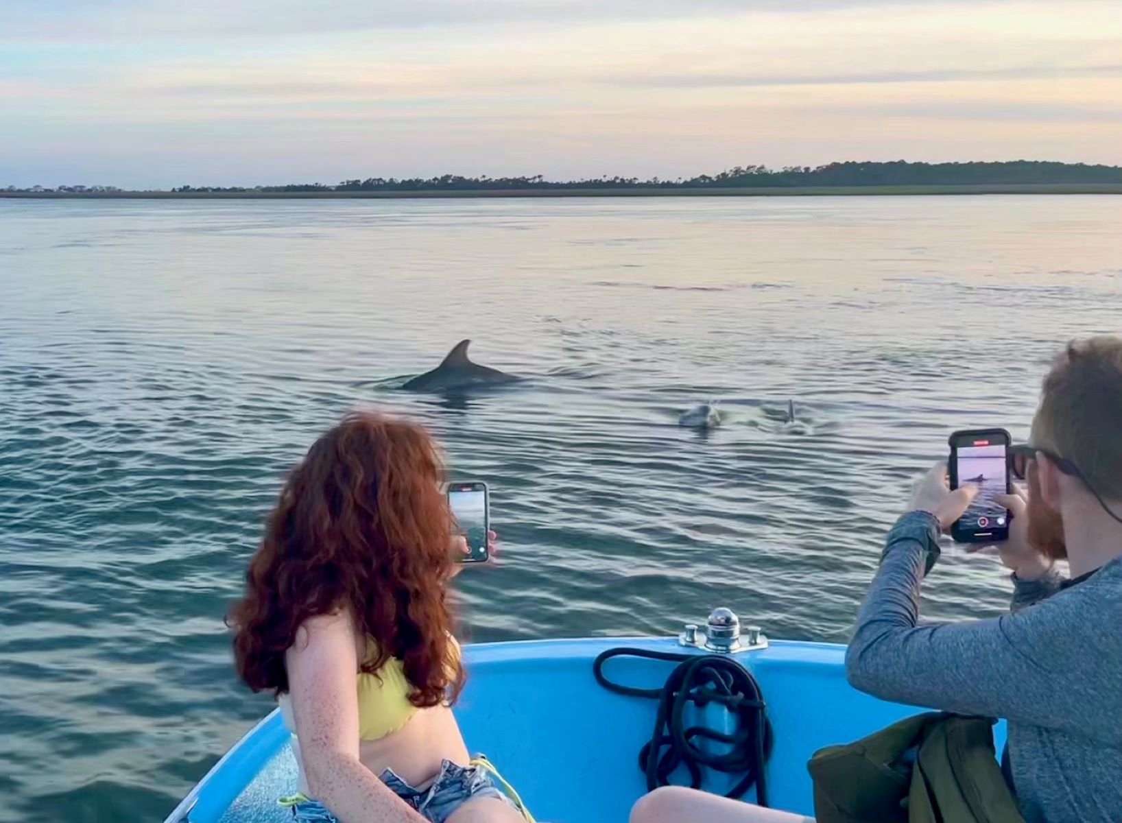 Morris Island Dolphin Cruise & Beachcombing