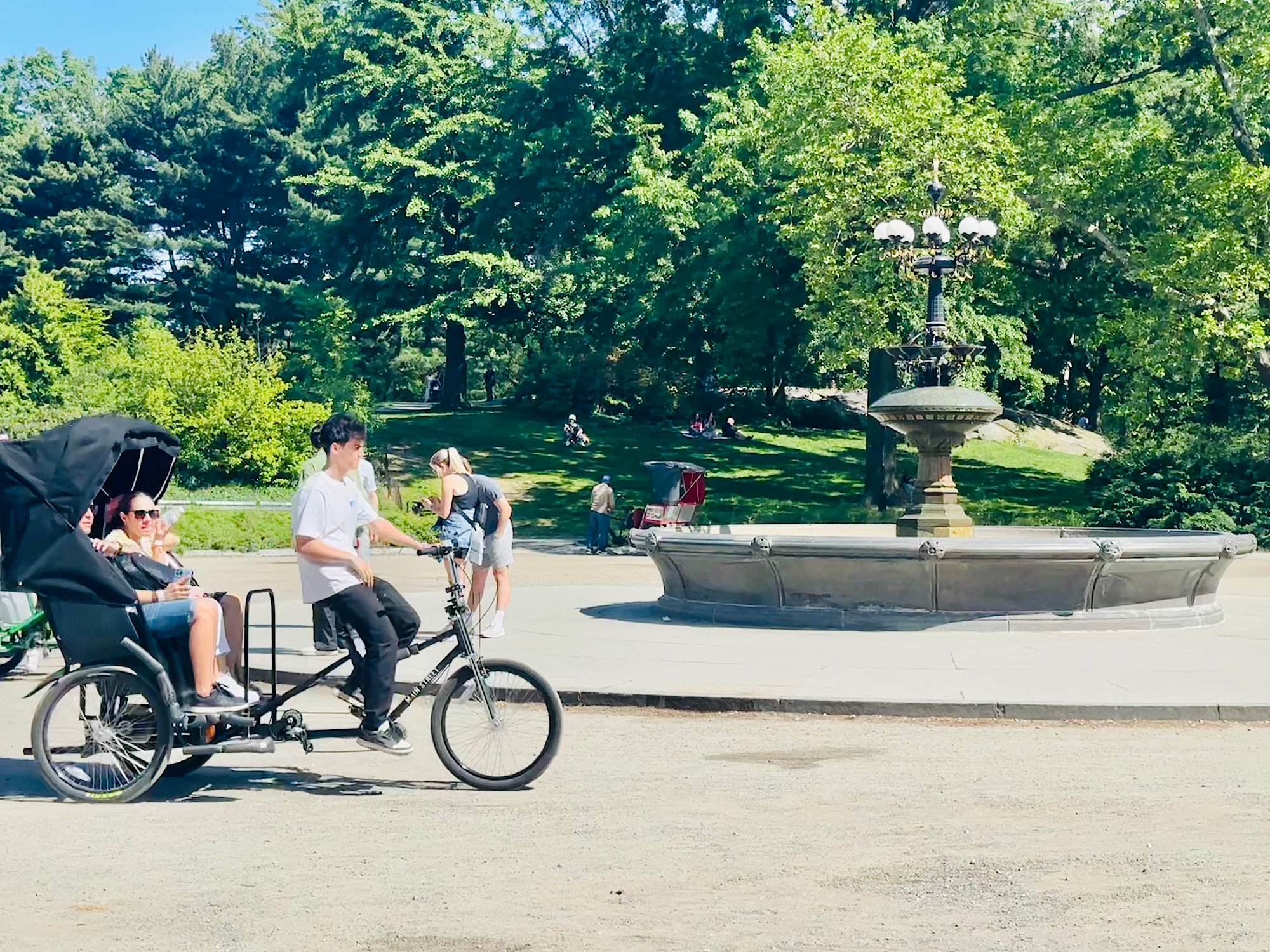 Central Park Pedicab Private Sightseeing Adventure