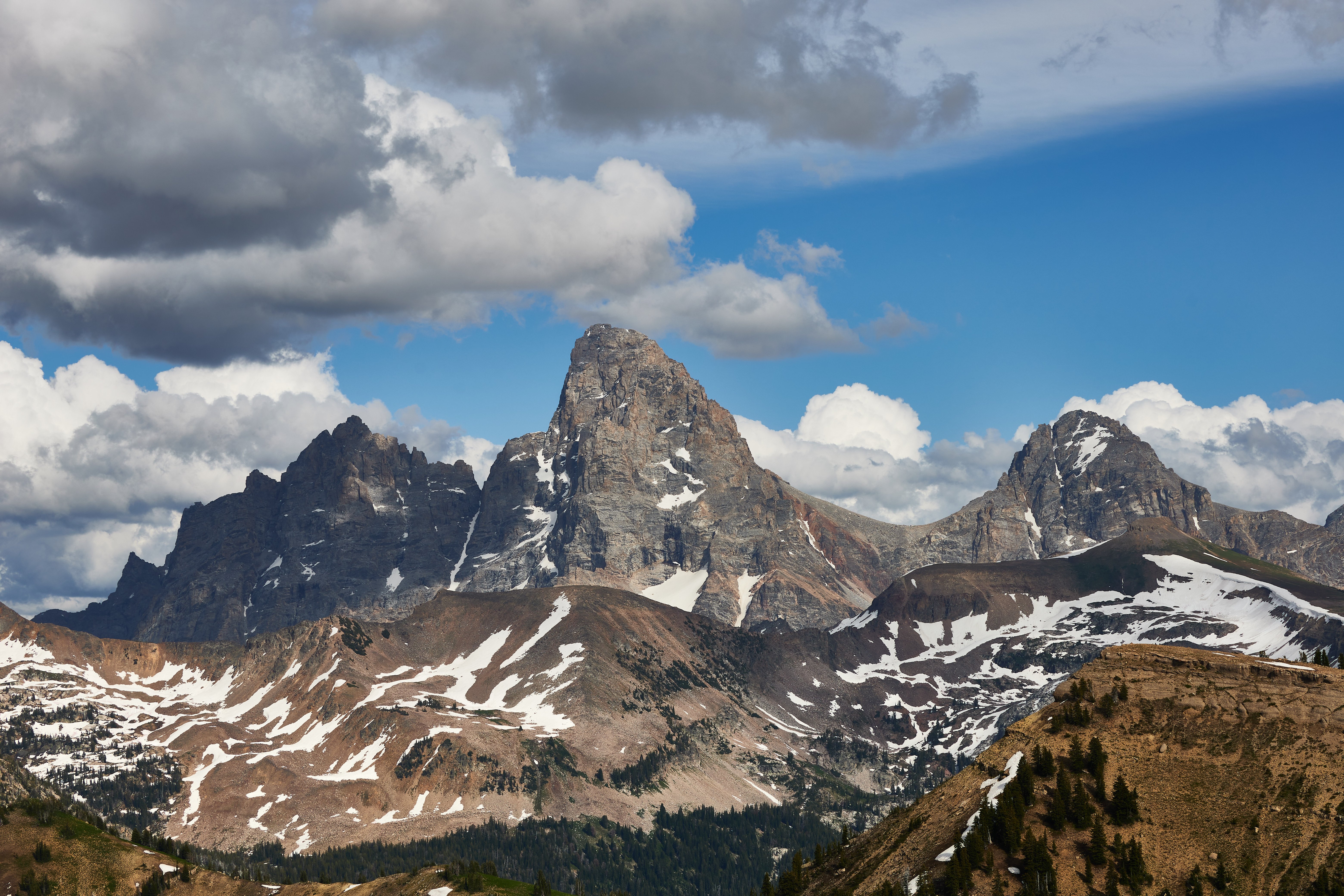 Grand Teton National Park Half-Day Expedition from Jackson