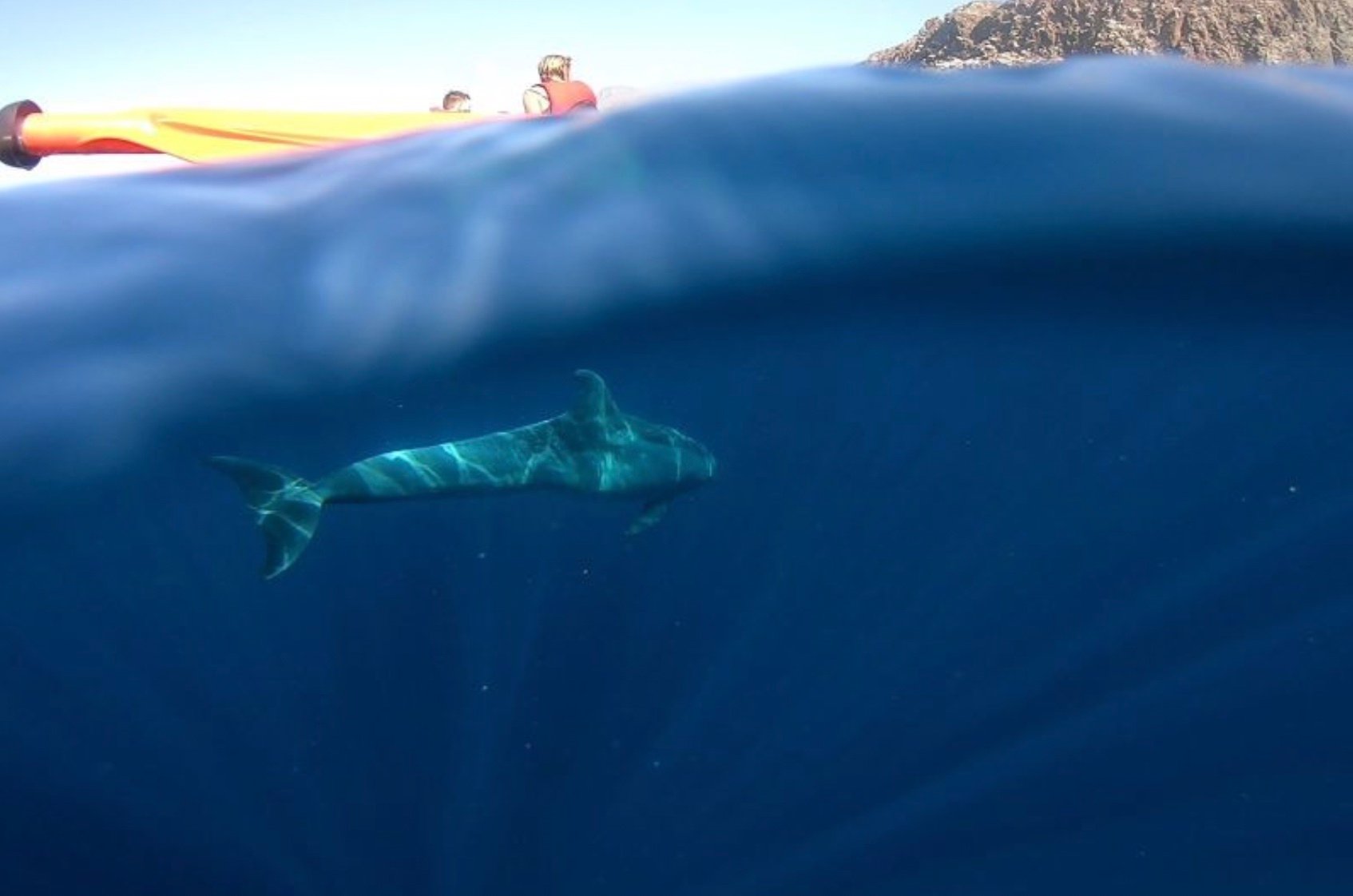 Atlantic Kayak Safari & Snorkel Adventure
