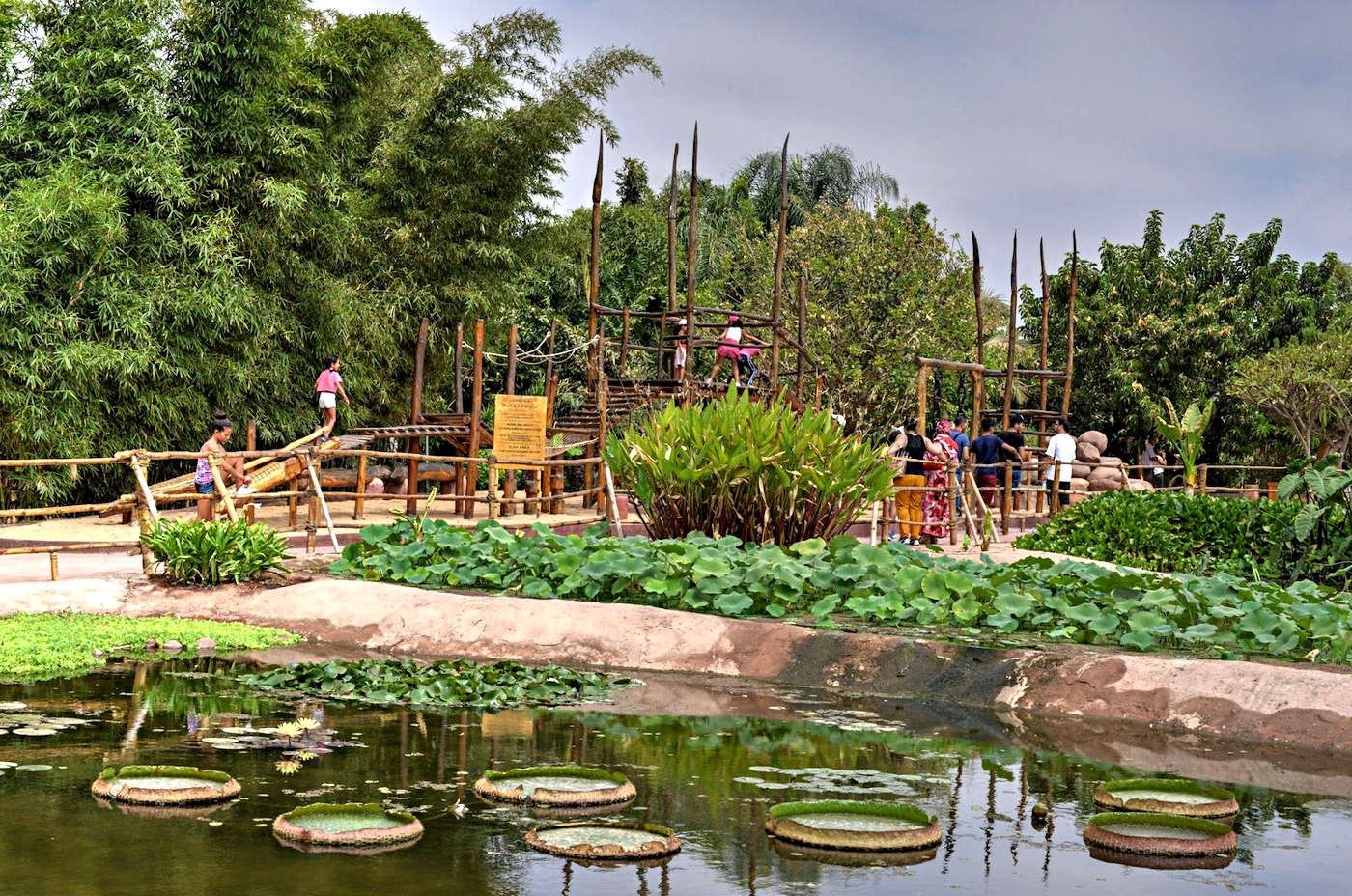 Agadir Crocodile Park Wildlife Adventure