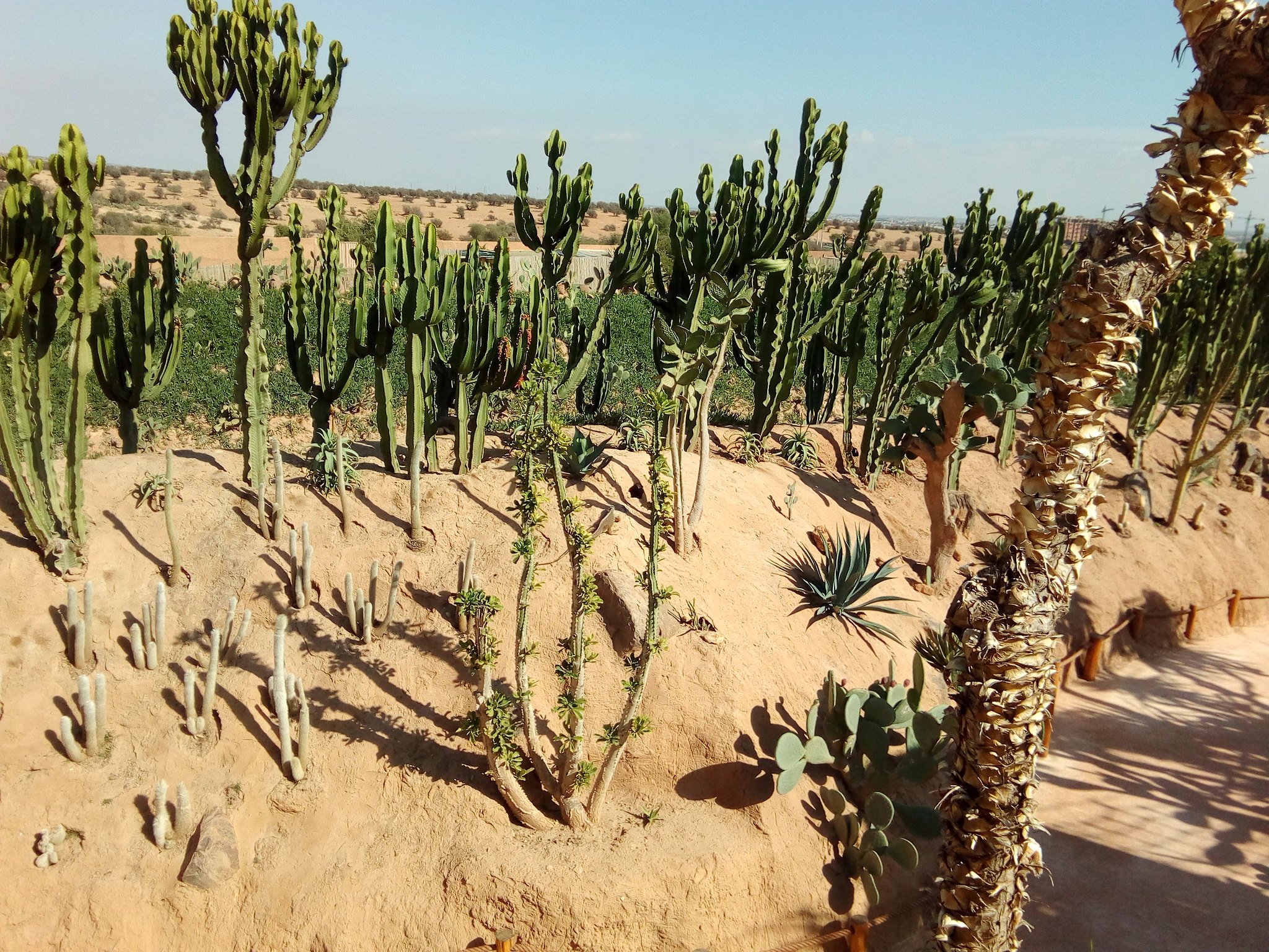 Agadir Crocodile Park Wildlife Adventure