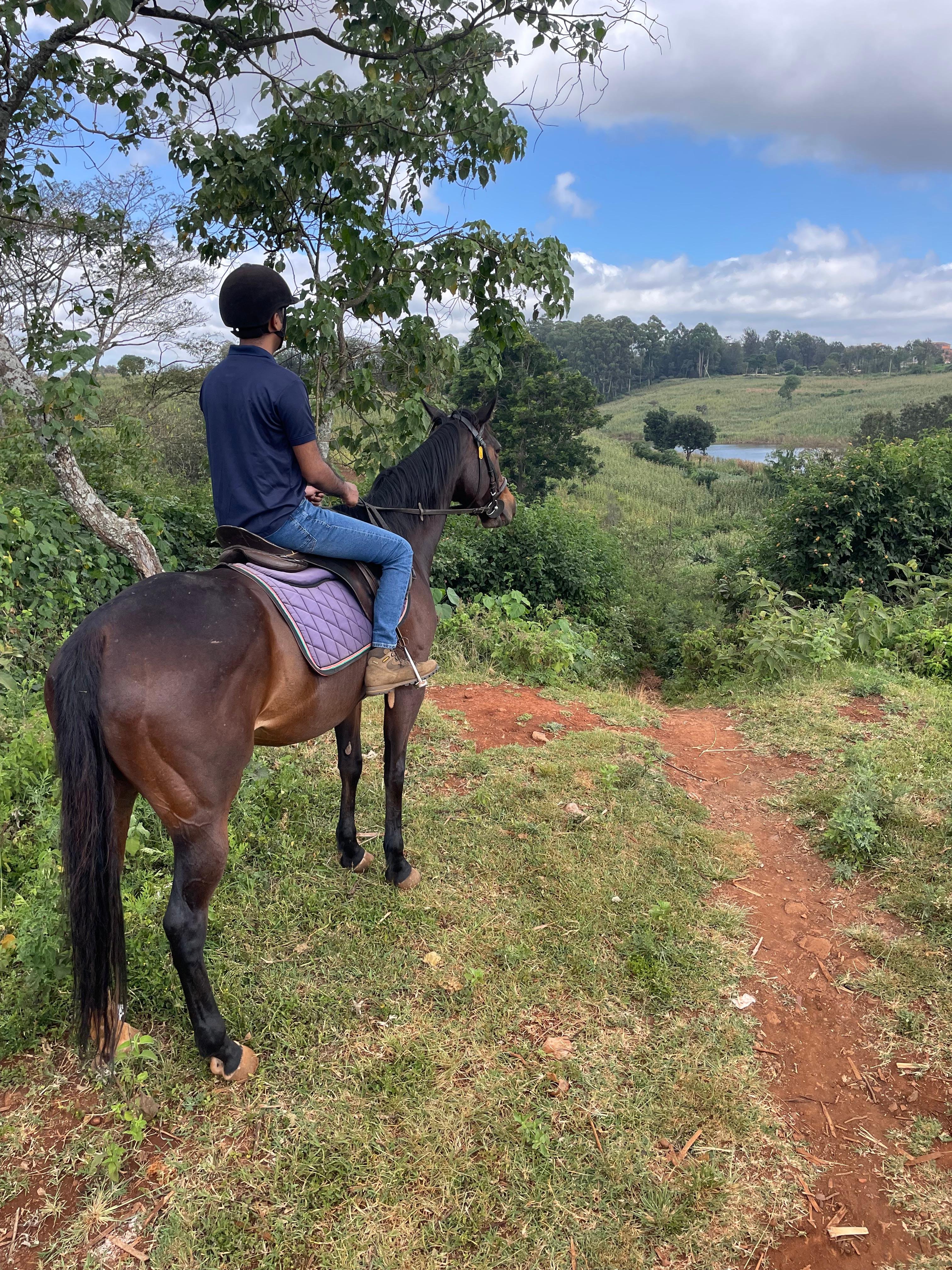 Karura Forest Horseback Adventure