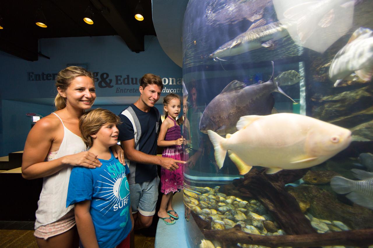 Interactive Aquarium Cancún Admission
