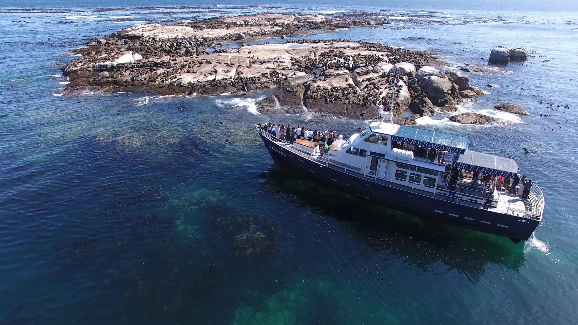 Cape Peninsula Wildlife & Scenic Coastal Tour