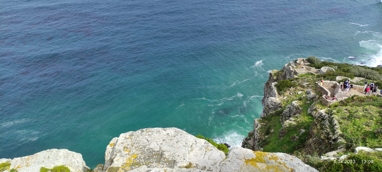 Cape Peninsula Wildlife & Scenic Coastal Tour