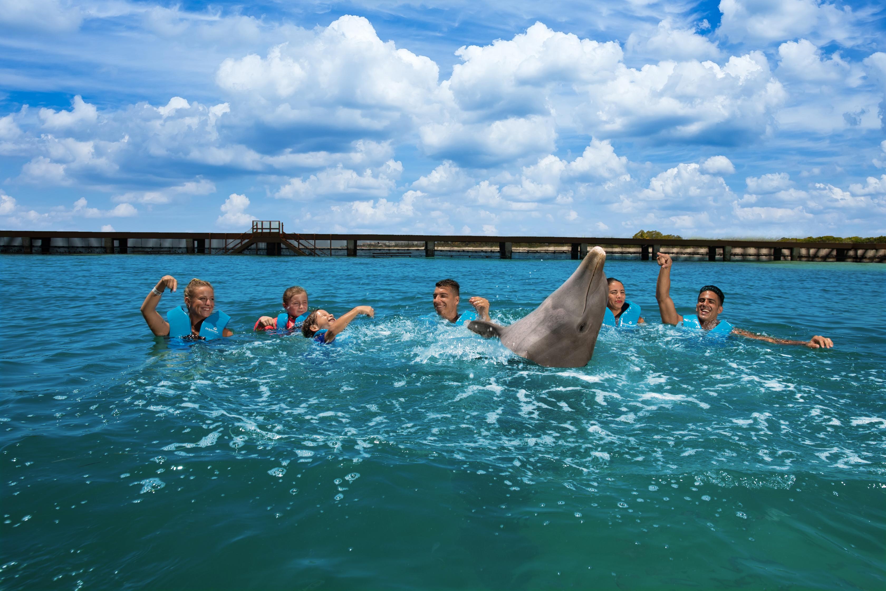 Dolphin Encounter at Costa Mujeres