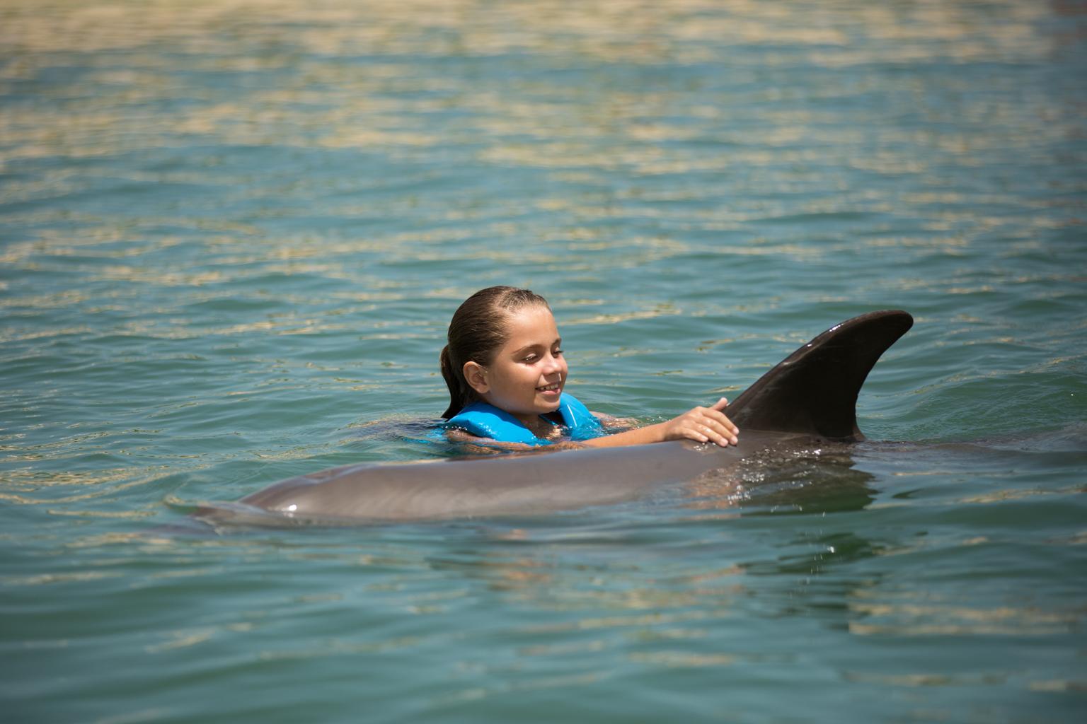 Dolphin Harmony Encounter at Punta Cancun