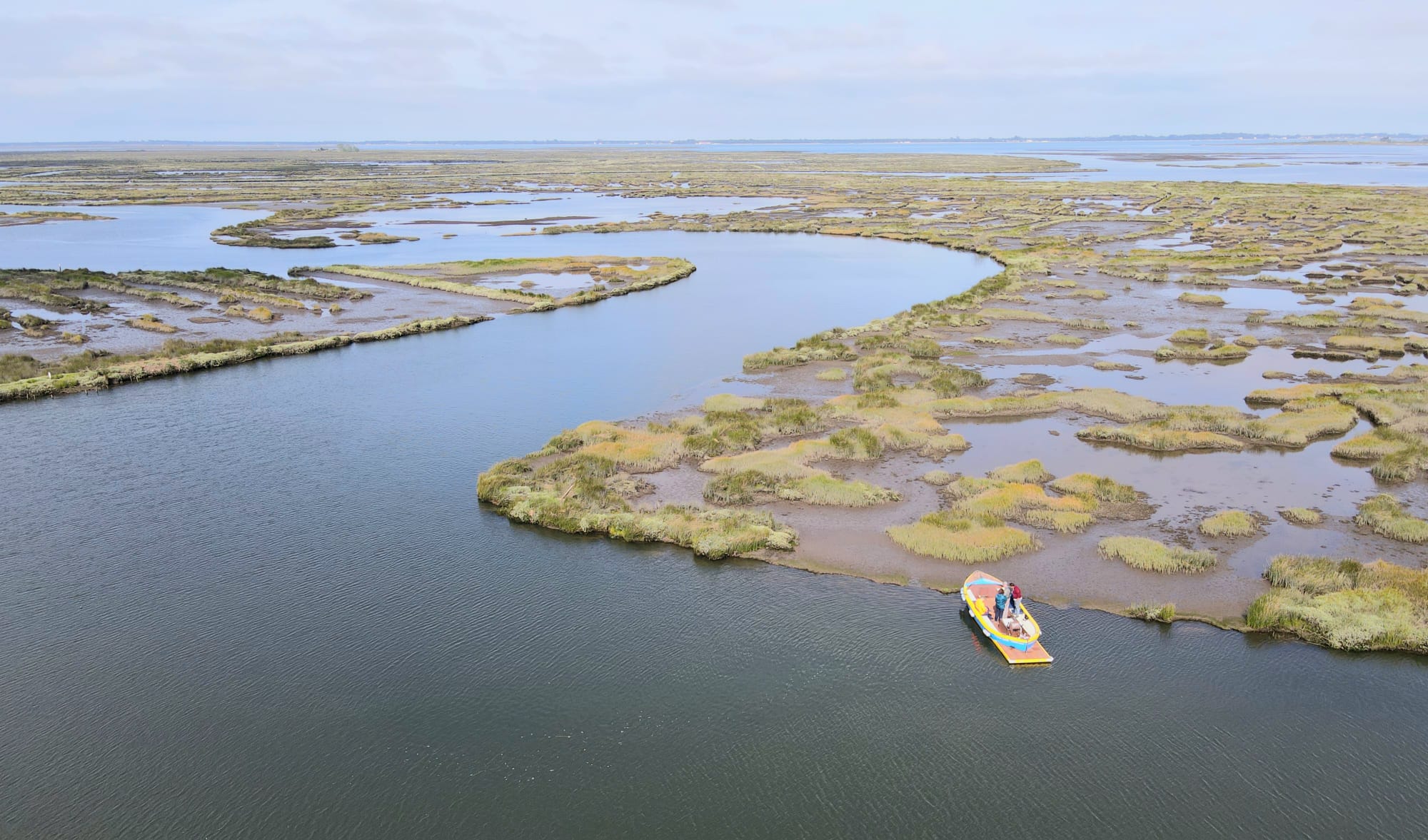 Ria de Aveiro Coastal Ecosystem Boat Tour