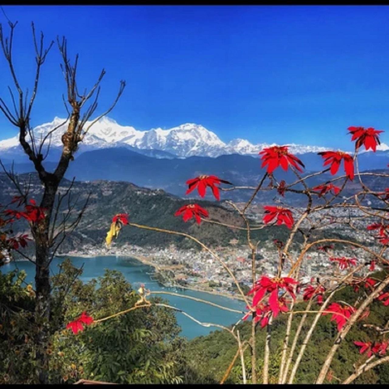 Pokhara Jungle Hike & Boat Ride Day Tour