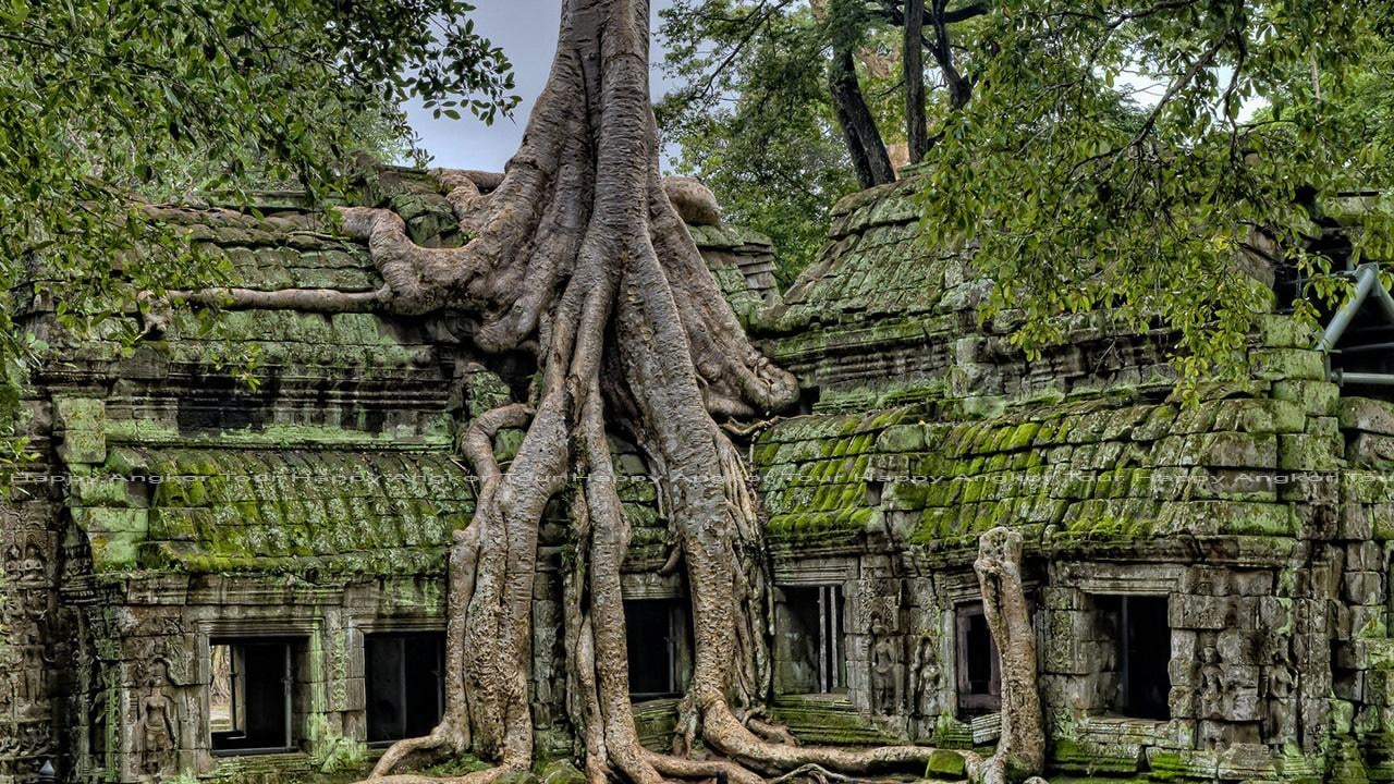Angkor Wat Private Sunrise & Sunset Full-Day Tour