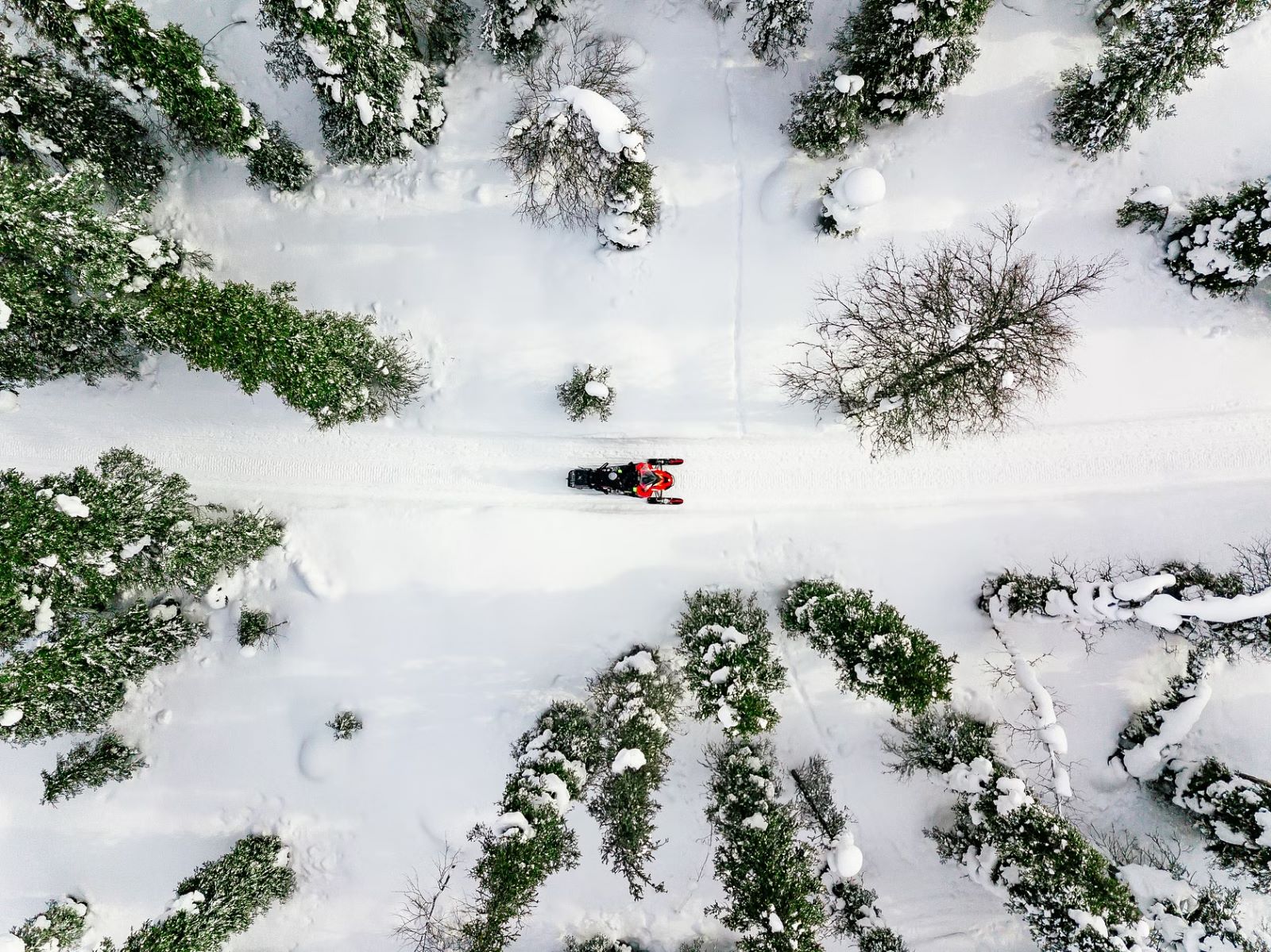 Rovaniemi Arctic Snowmobile Safari