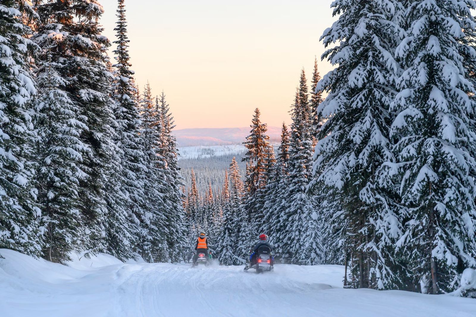 Rovaniemi Arctic Snowmobile Safari