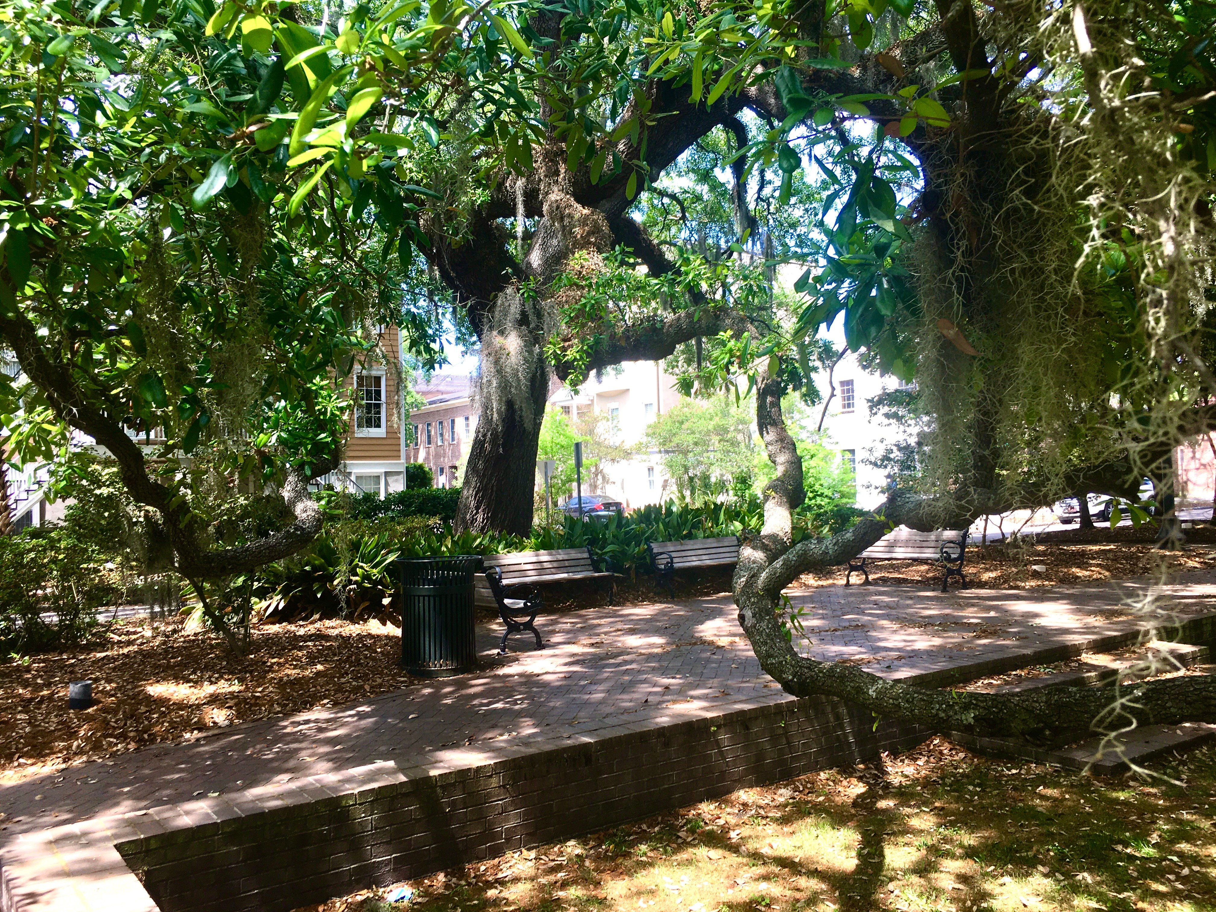 Savannah Georgia — tour experience image 1