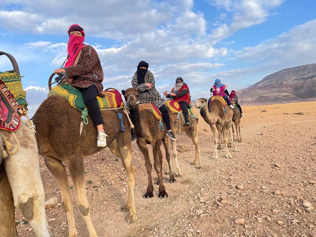 Atlas Mountains Day Trip with Camel Ride & Waterfalls