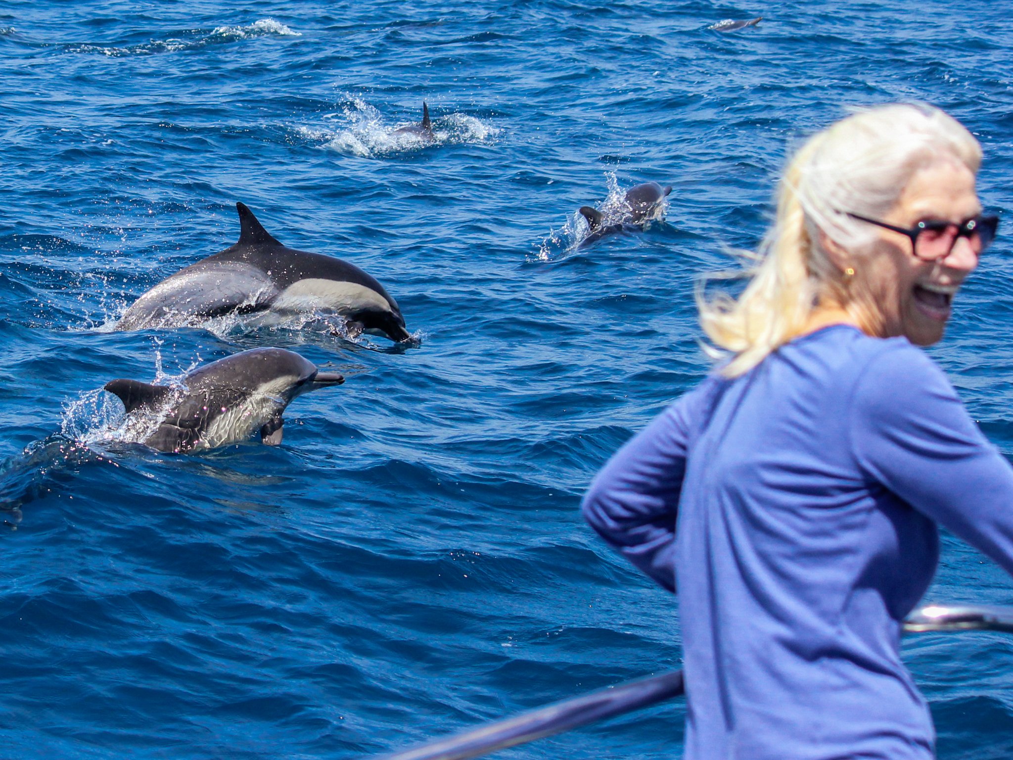 Dana Point Dolphin & Whale Watching With Underwater Viewing