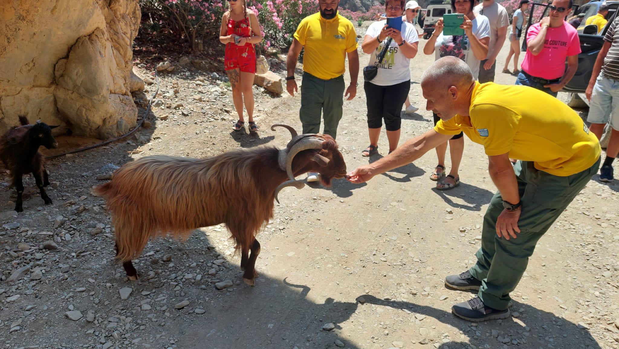 Crete 4x4 Safari: Zeus Cave & Lasithi Plateau Village Tour