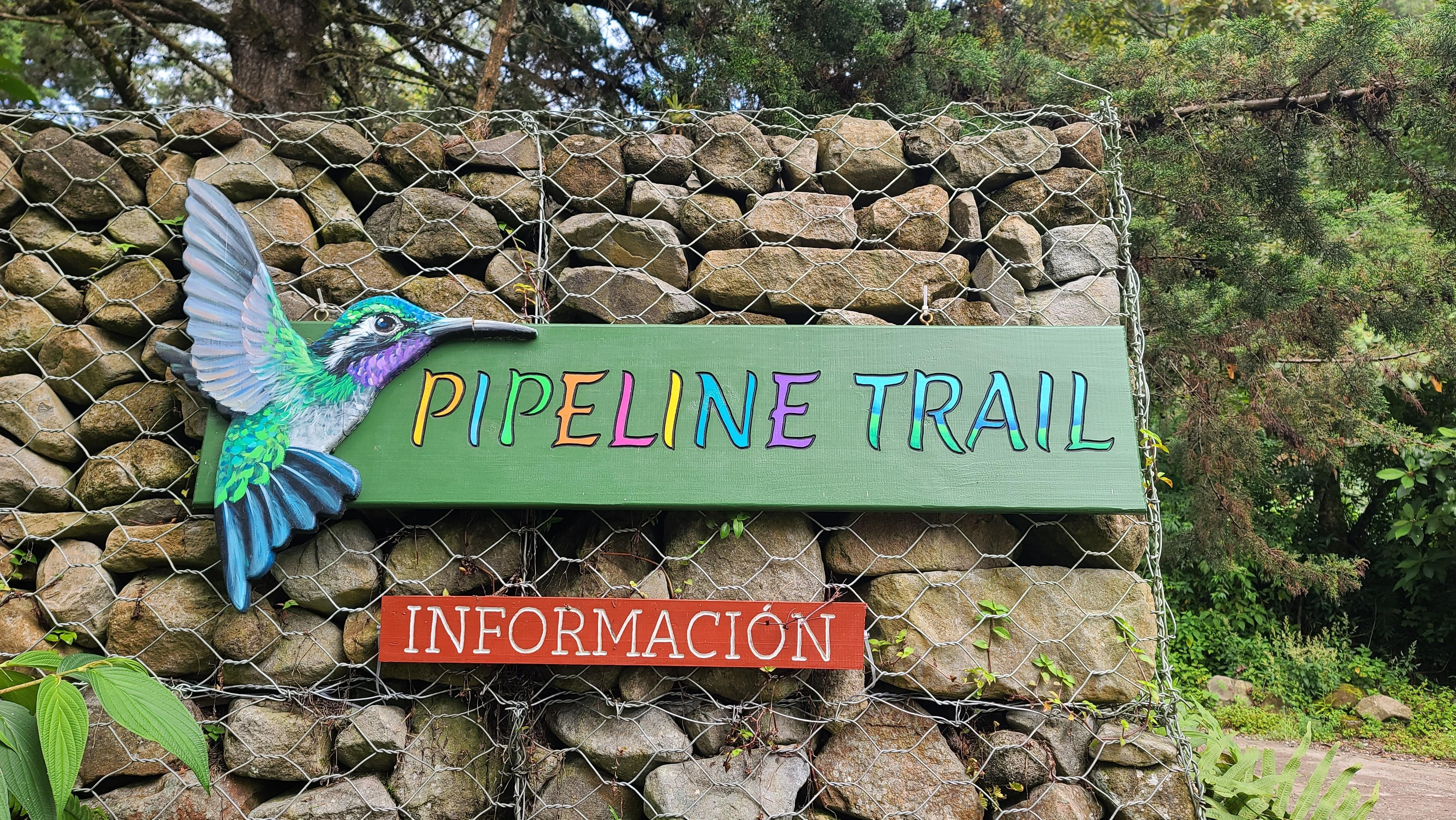 Pipeline Trail Cloud Forest Wildlife Hike