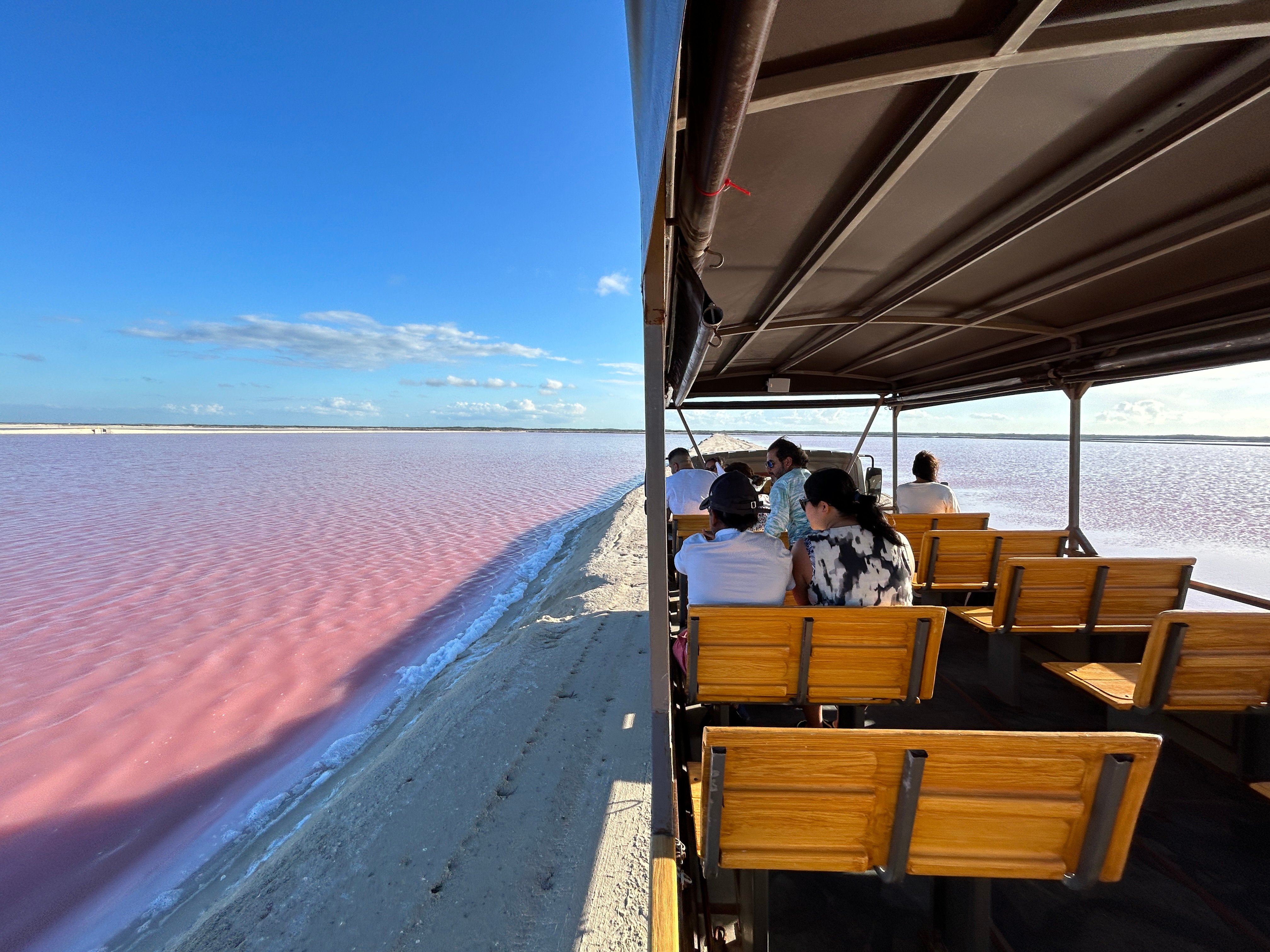 Las Coloradas Pink Lakes & Salt Mine Safari